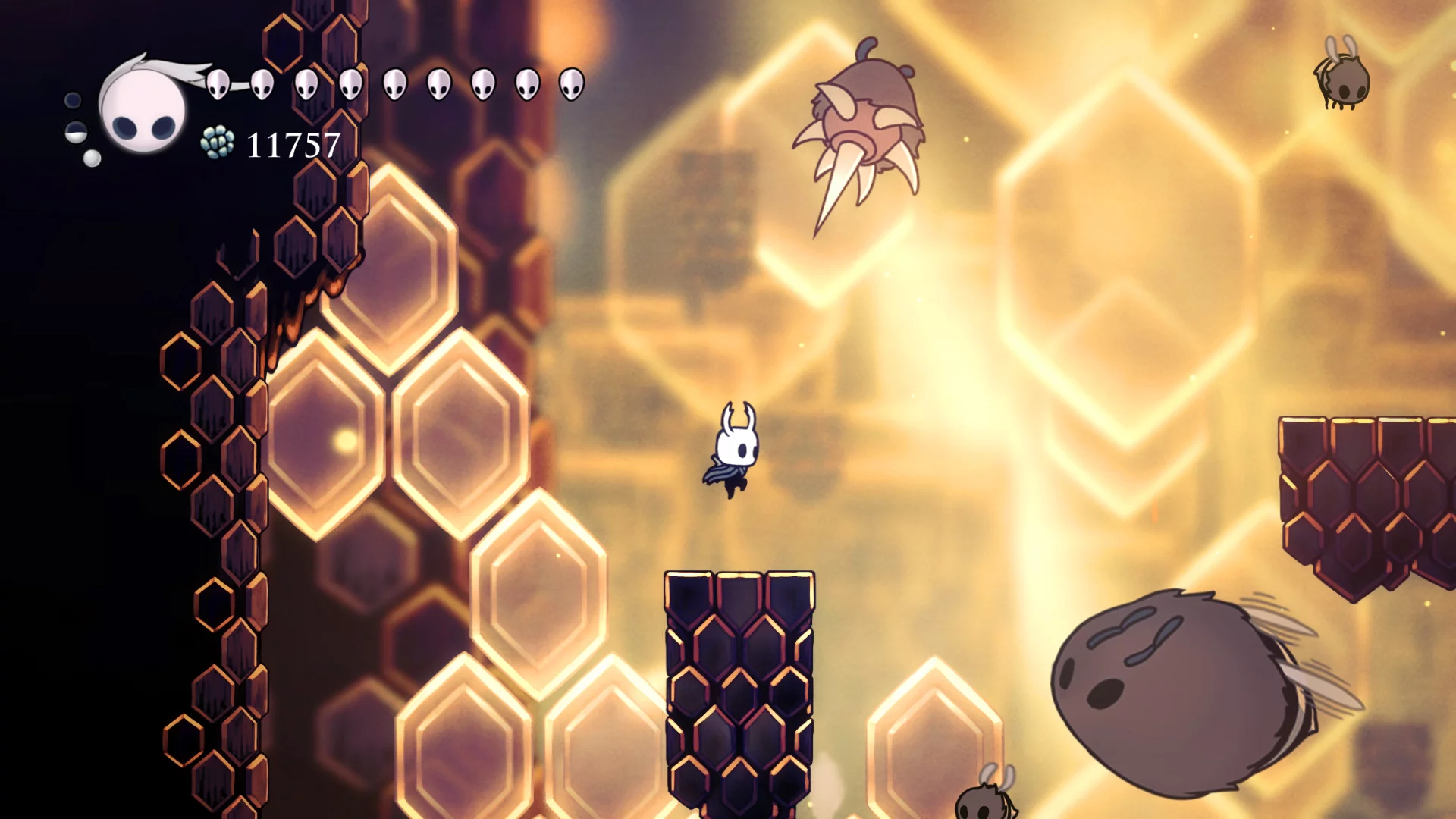 Изображение игры: Hollow Knight