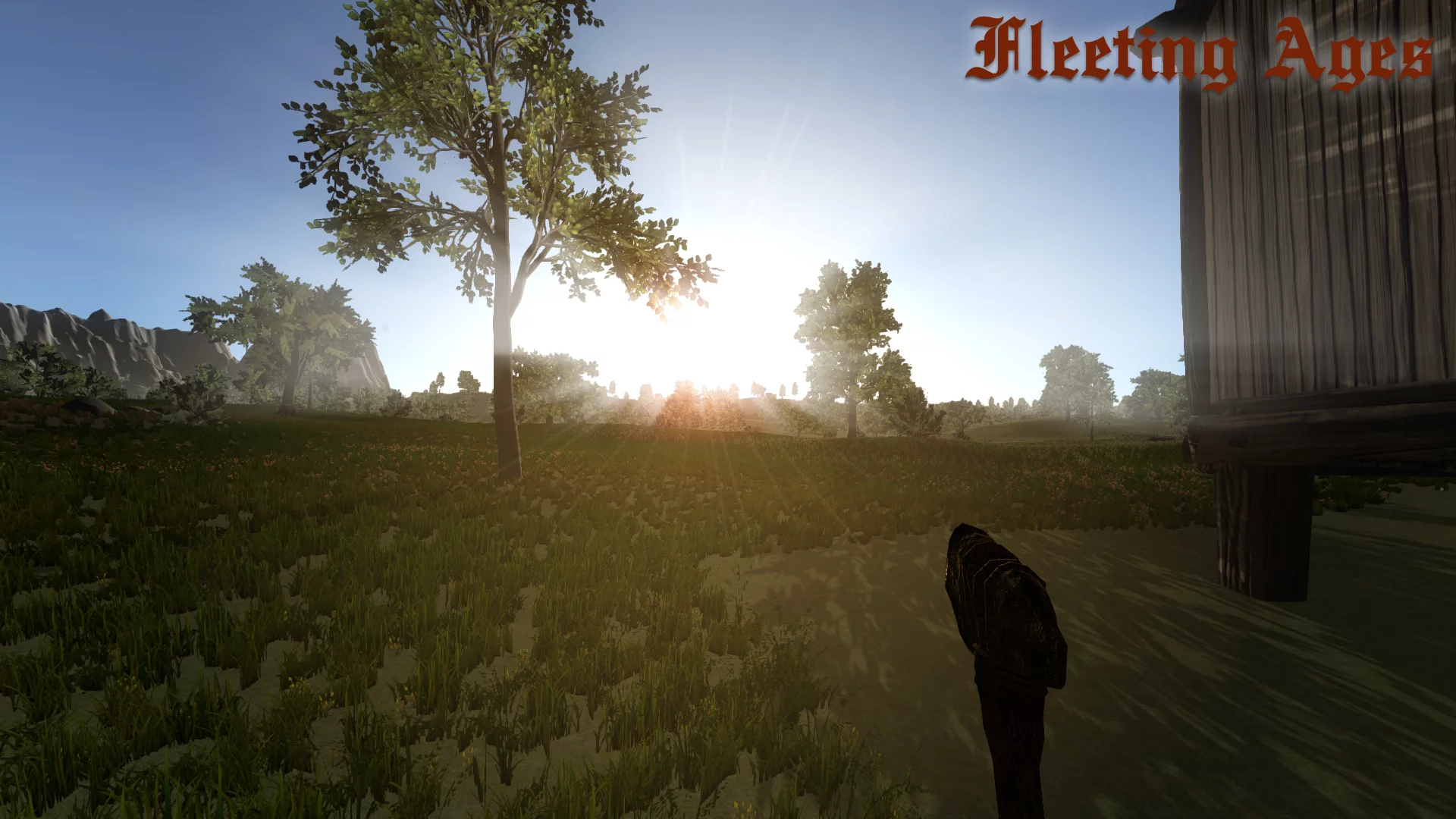 Изображение игры: Fleeting Ages