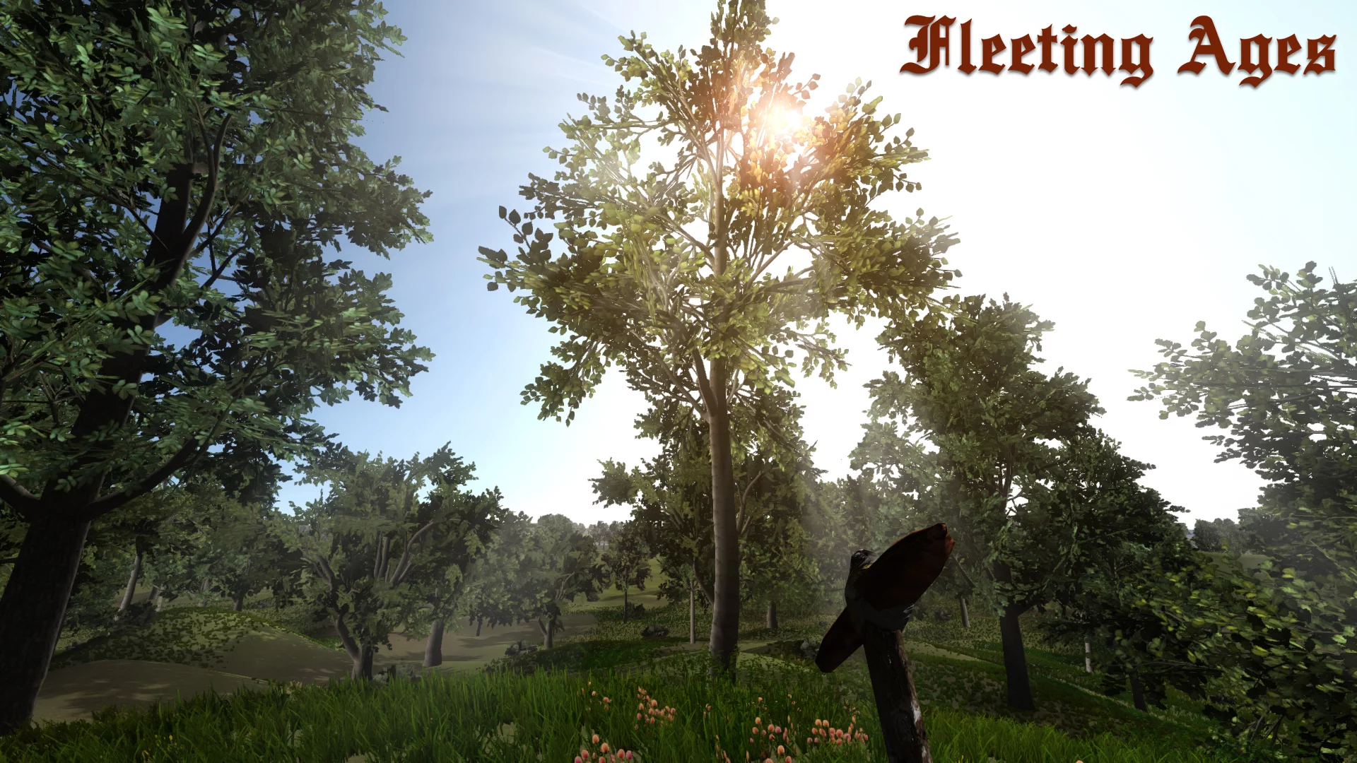 Изображение игры: Fleeting Ages