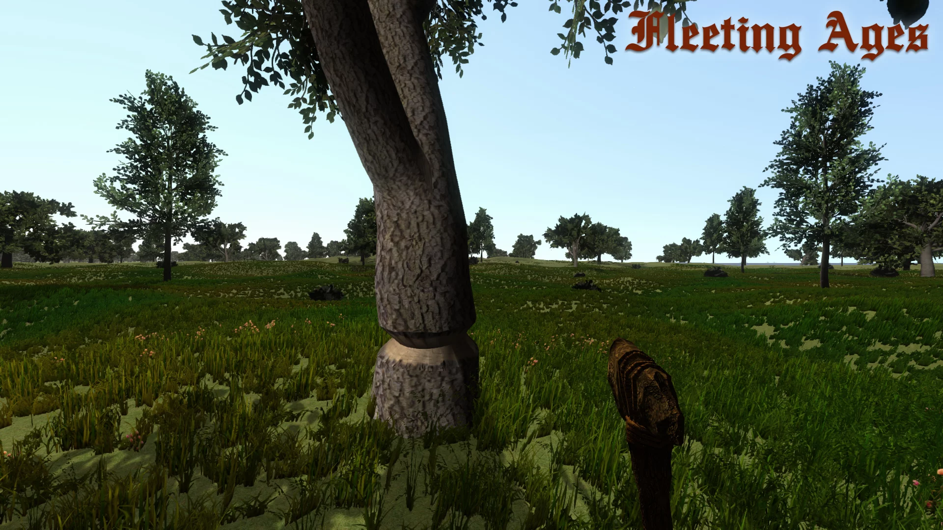 Изображение игры: Fleeting Ages
