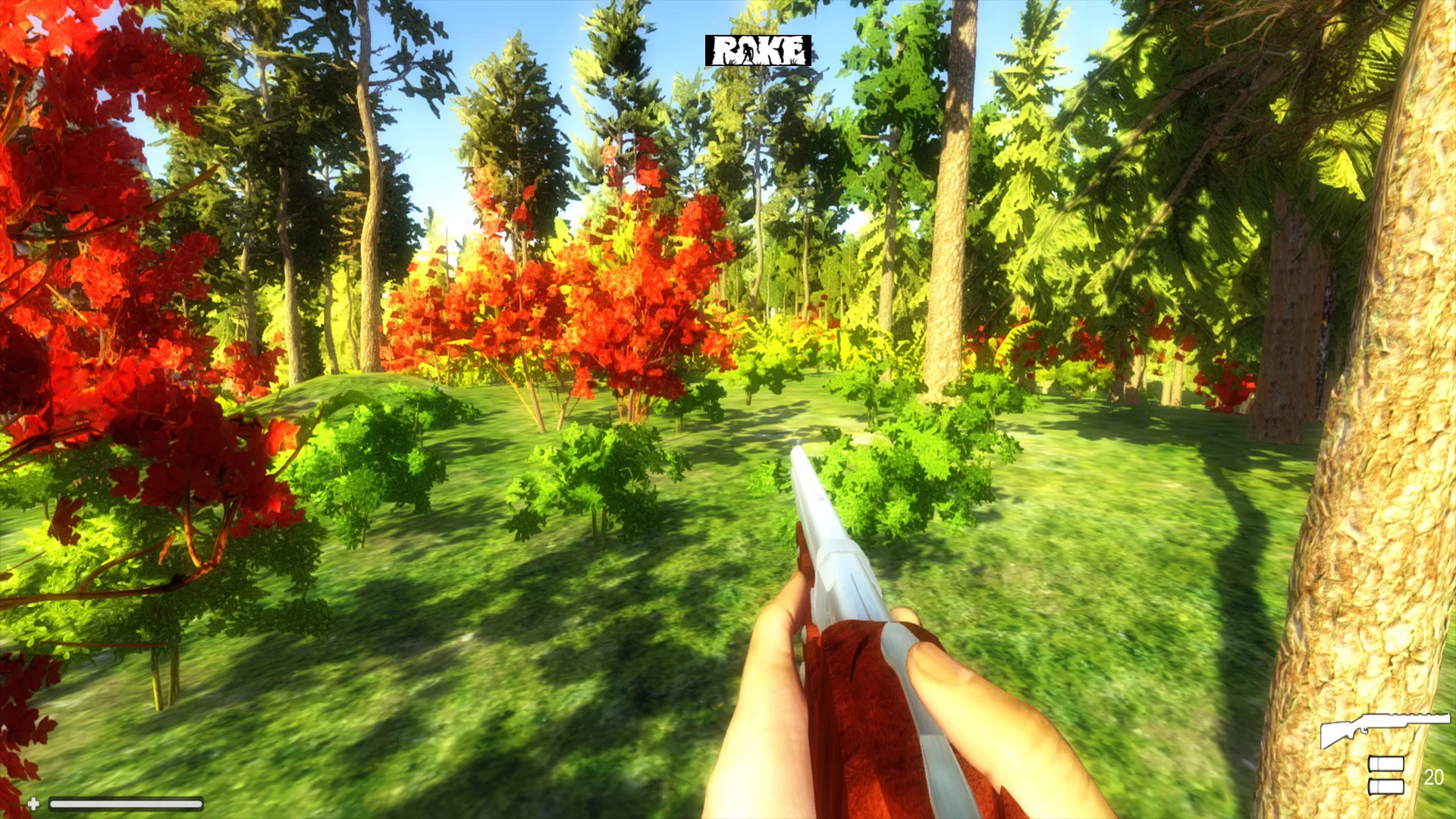 Изображение игры: Rake