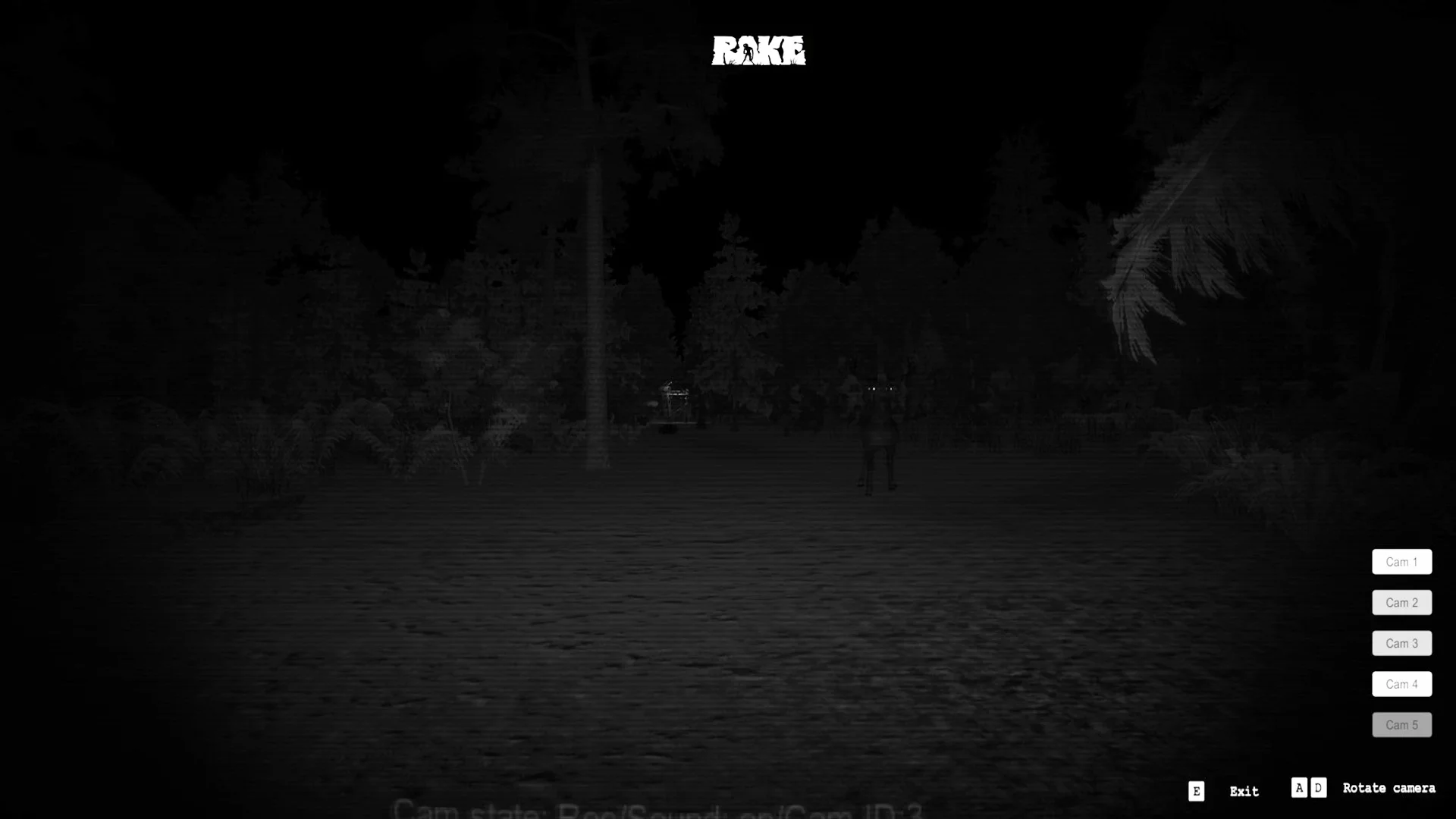 Изображение игры: Rake