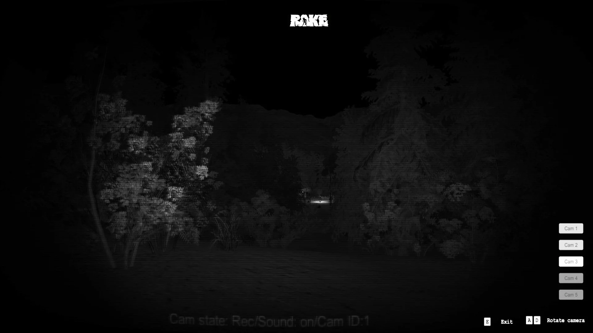 Изображение игры: Rake