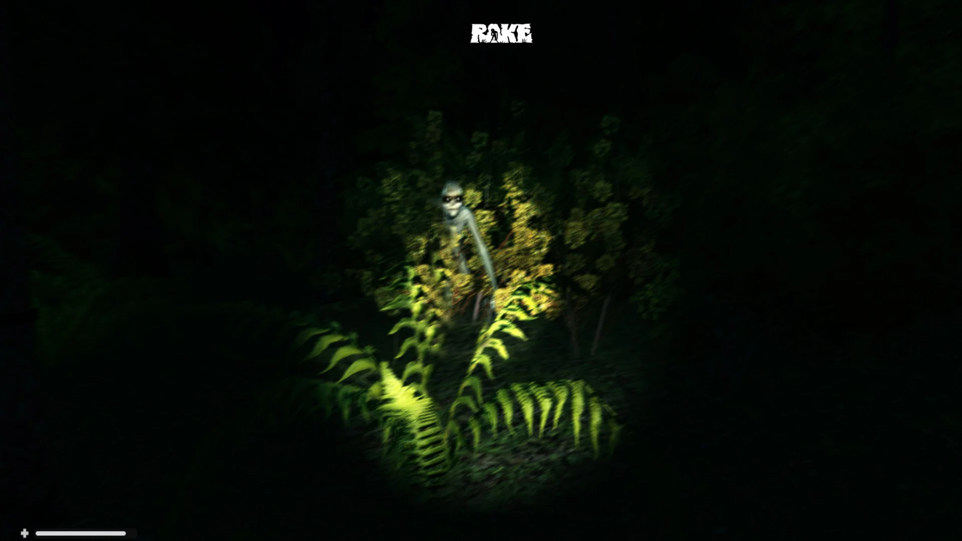 Изображение игры: Rake