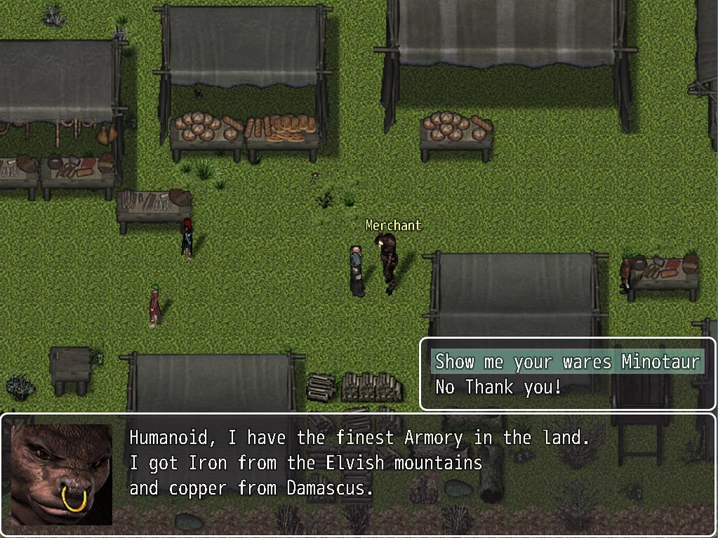 Изображение игры: Tormented 12