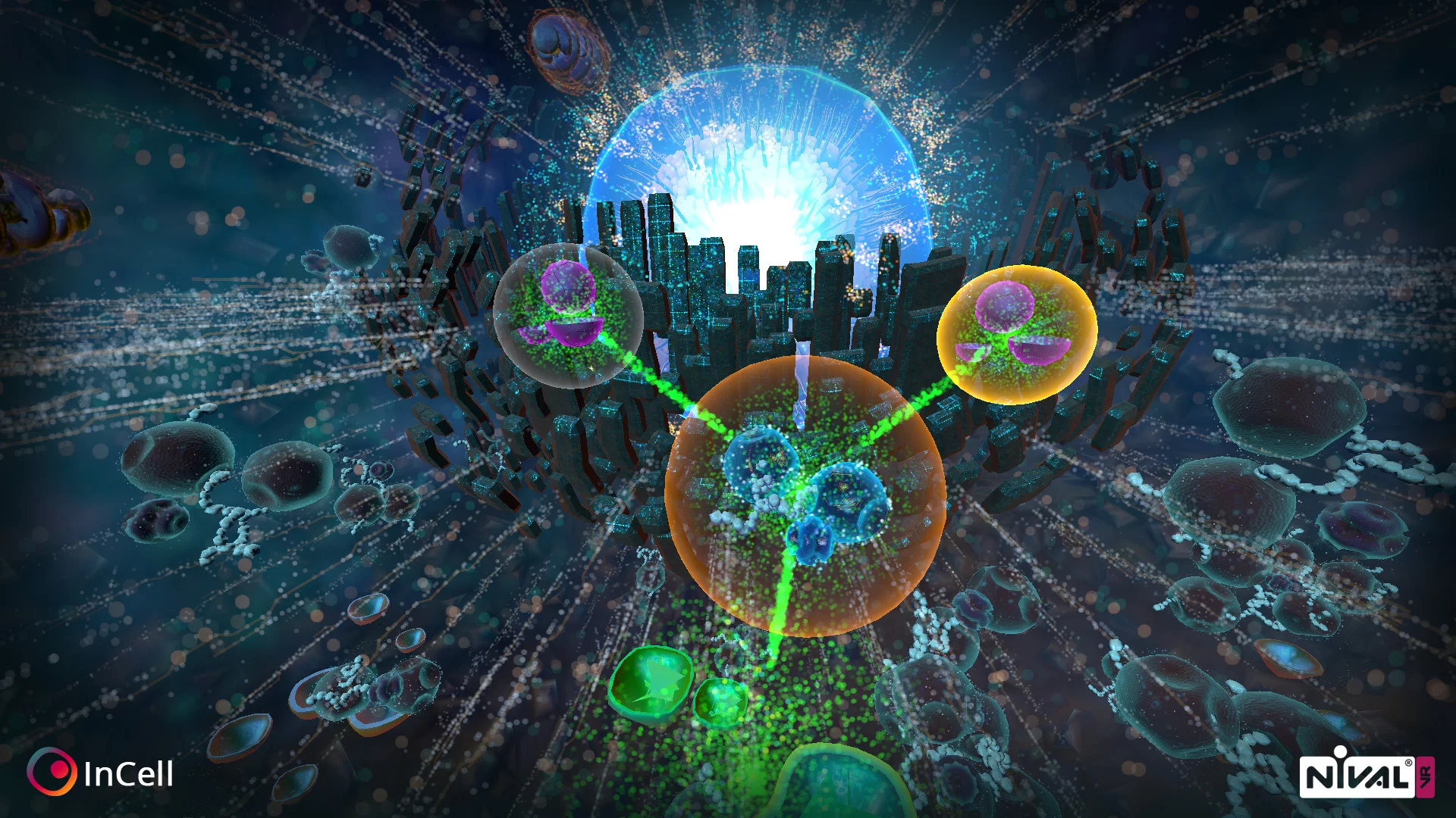 Изображение игры: InCell VR