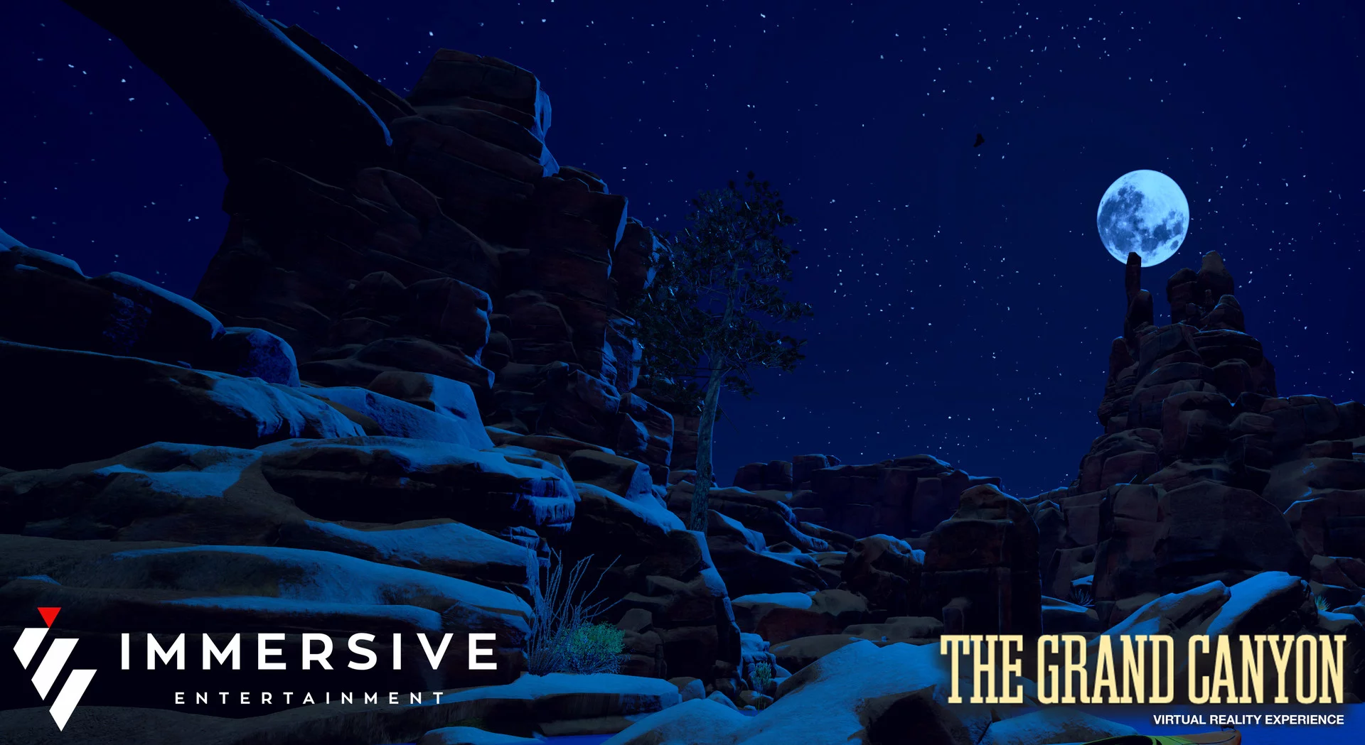 Изображение игры: The Grand Canyon VR Experience