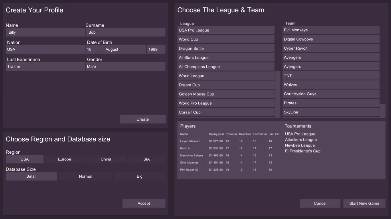 Изображение игры: Cyber Team Manager