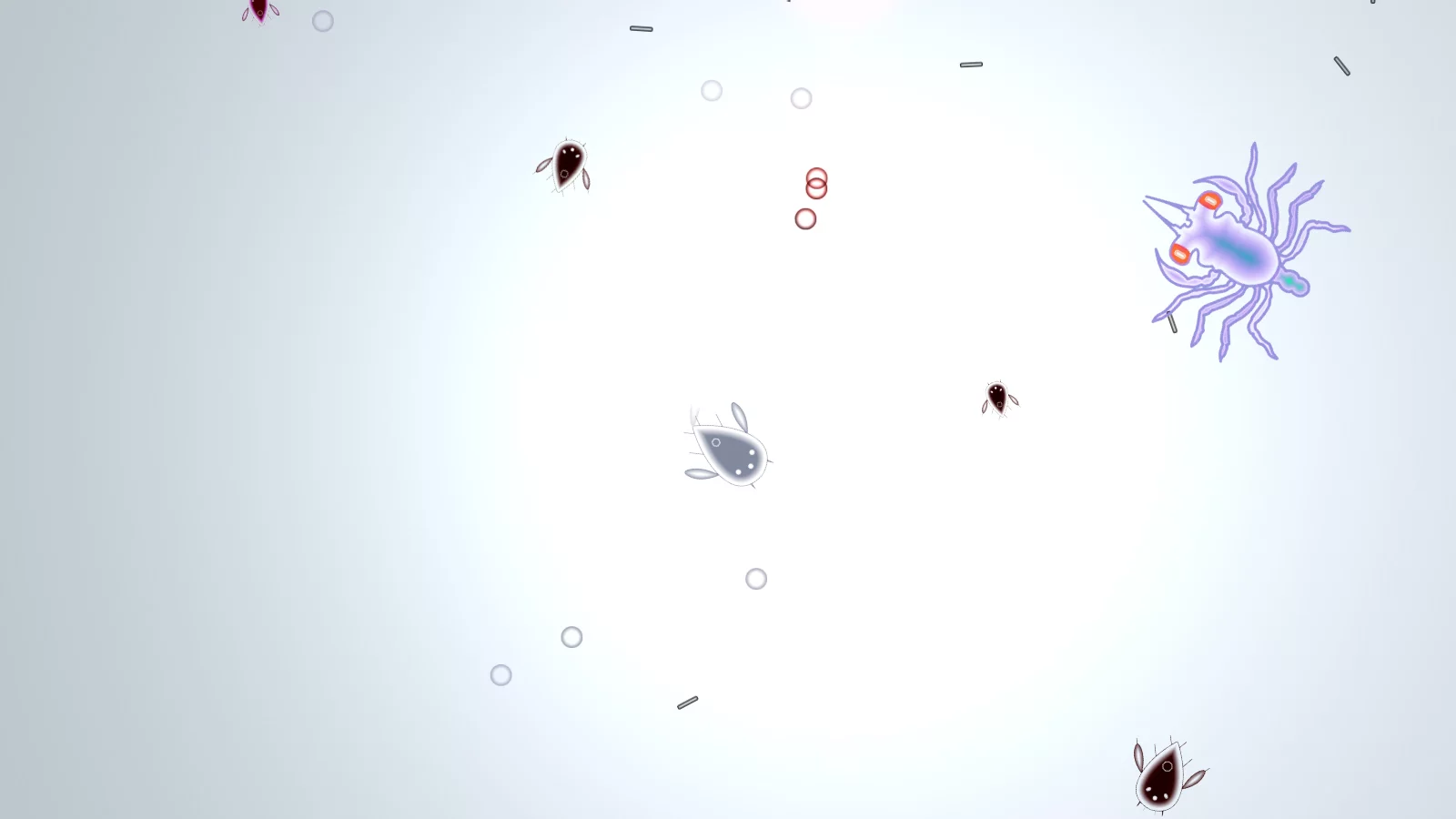 Изображение игры: Feesh