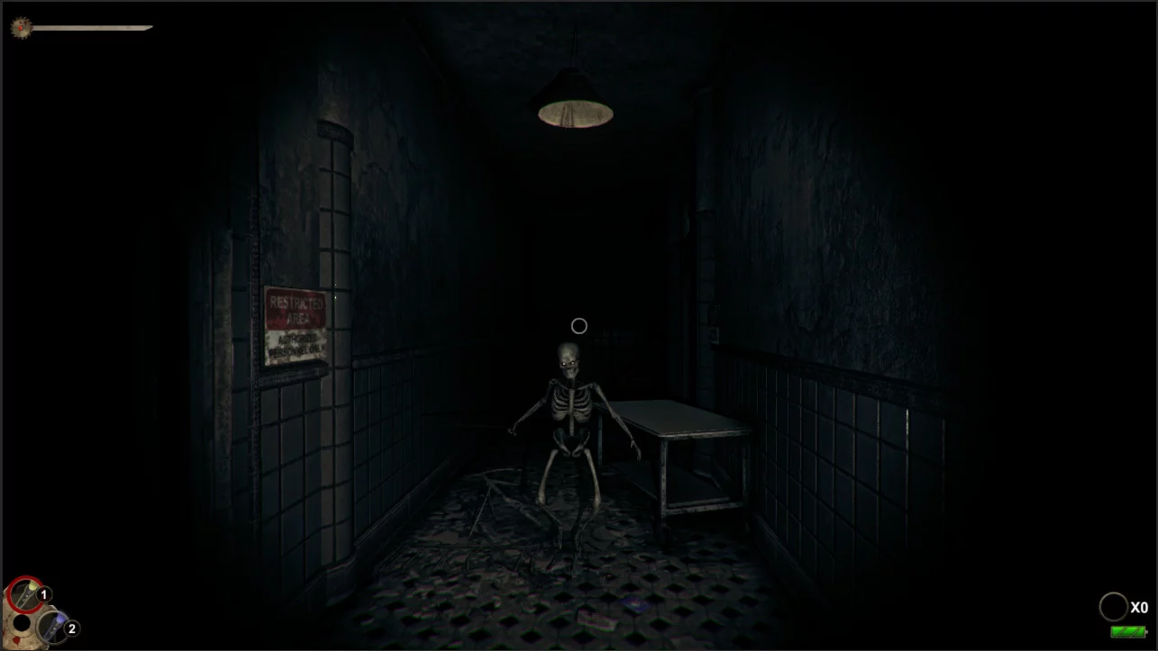Изображение игры: Horror in the Asylum