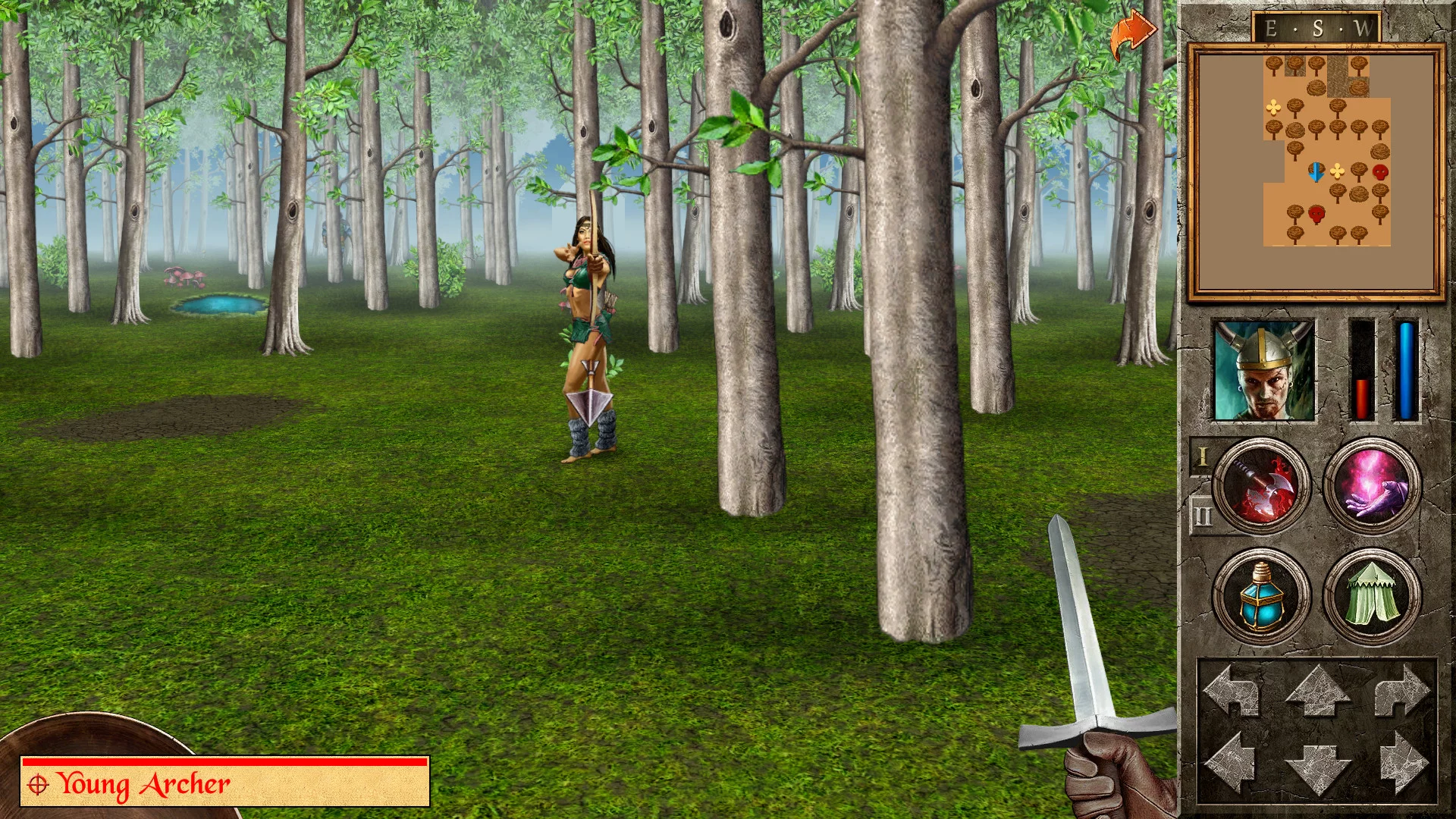 Изображение игры: The Quest