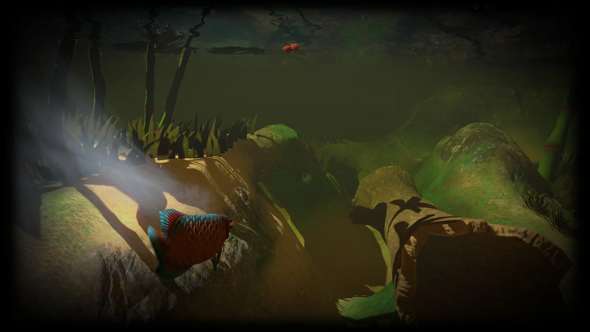 Изображение игры: Feed and Grow: Fish