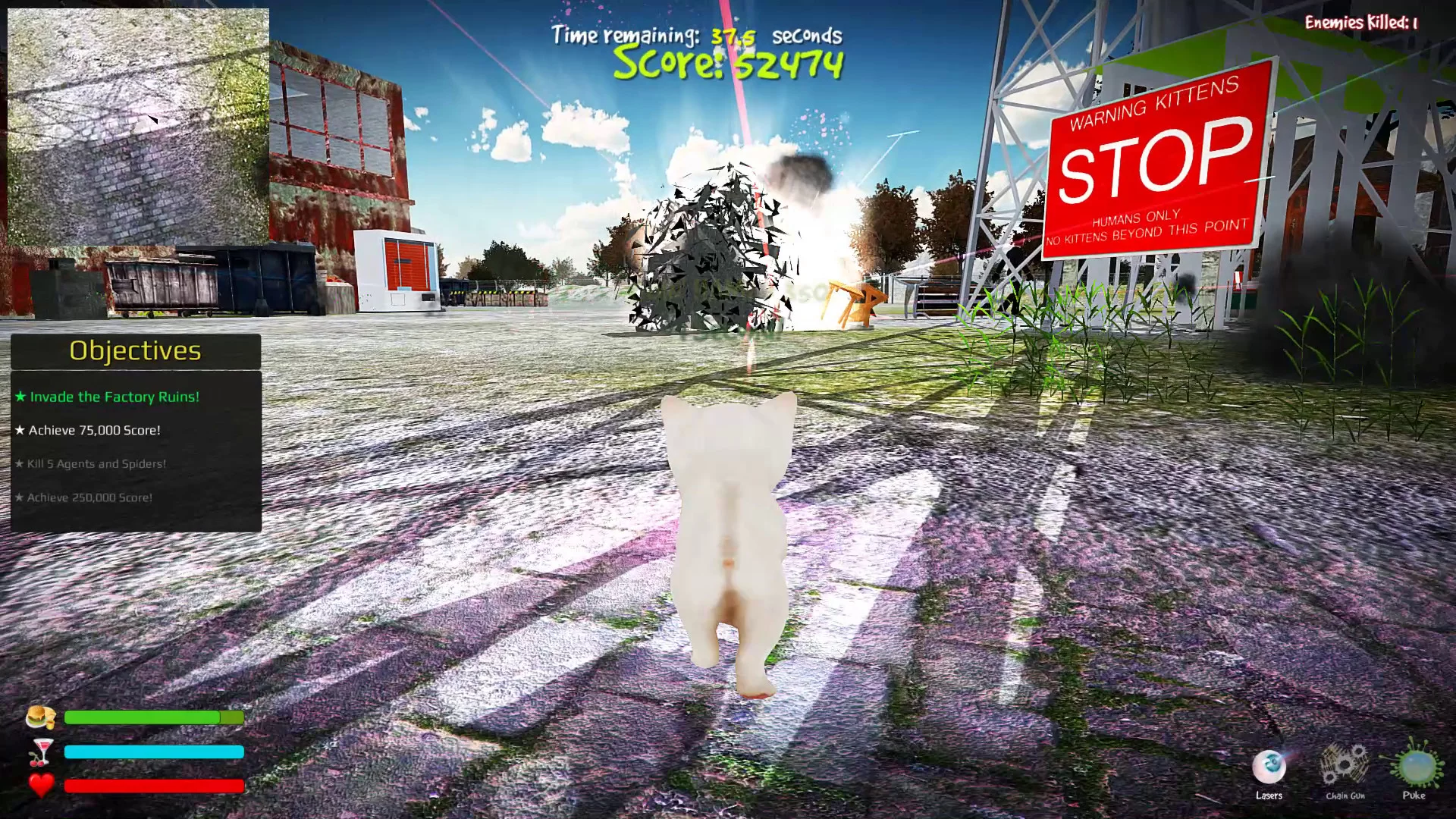 Изображение игры: Kitten Rampage