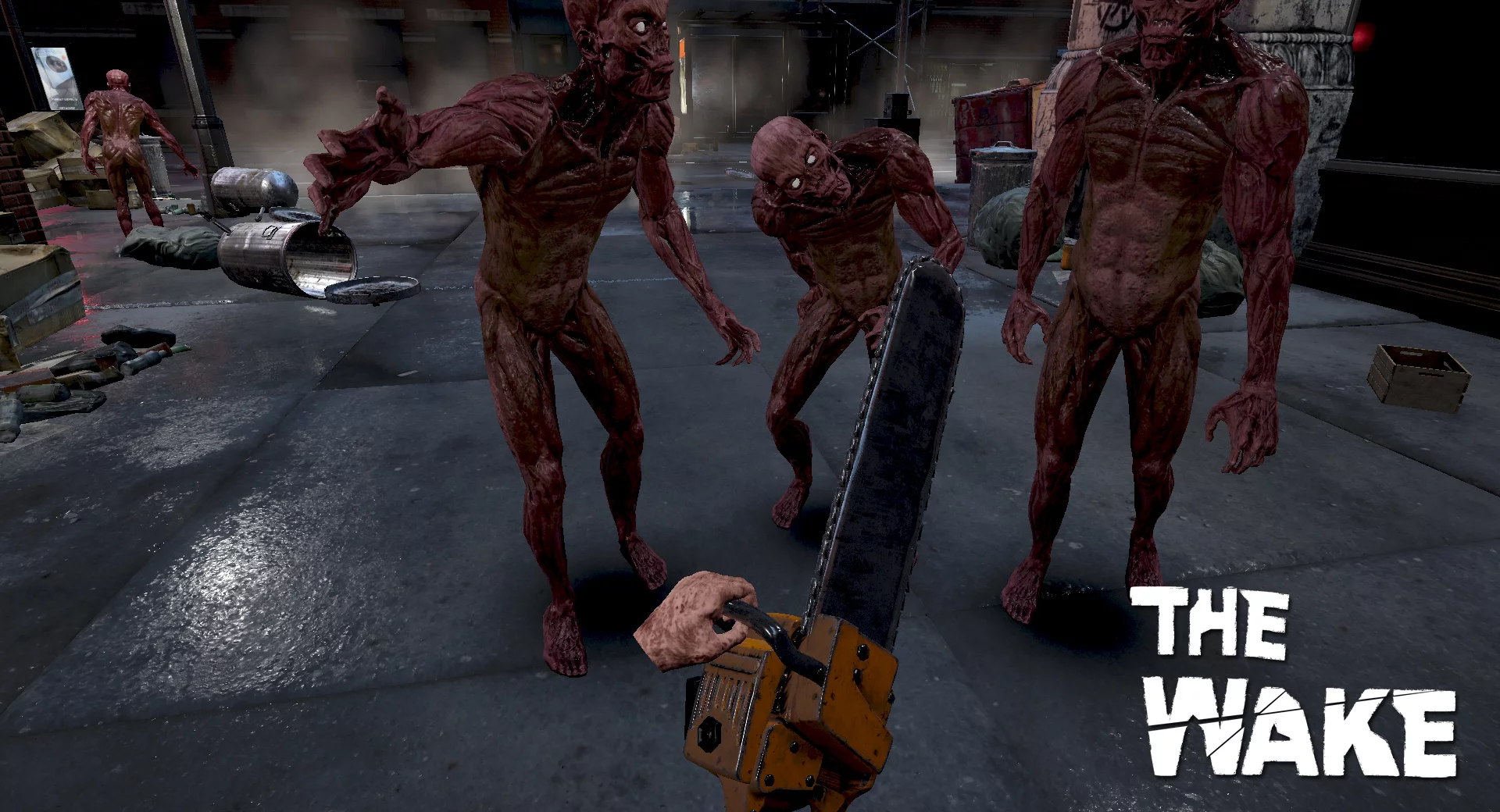 Изображение игры: The Wake