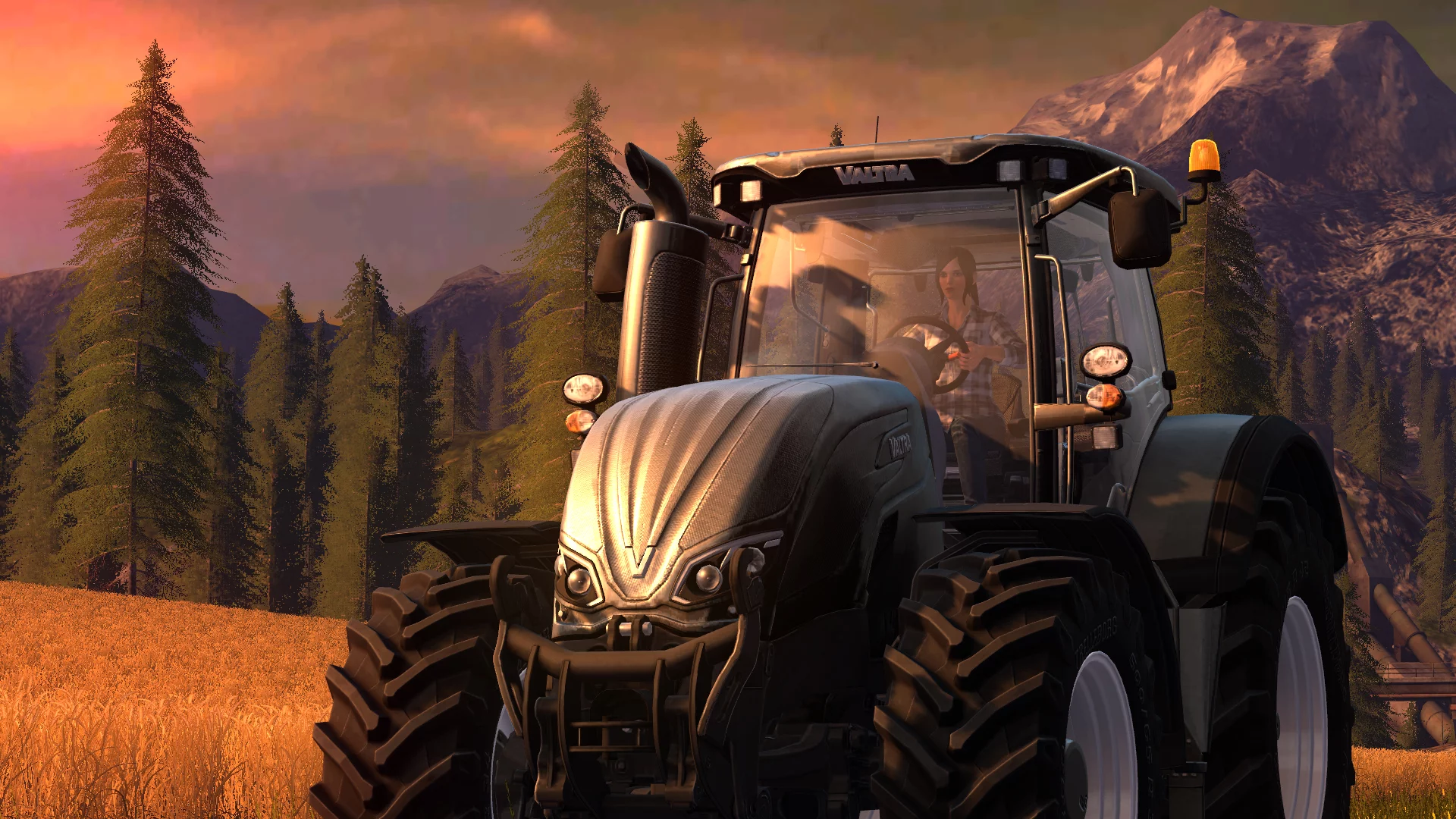 Изображение игры: Farming Simulator 17