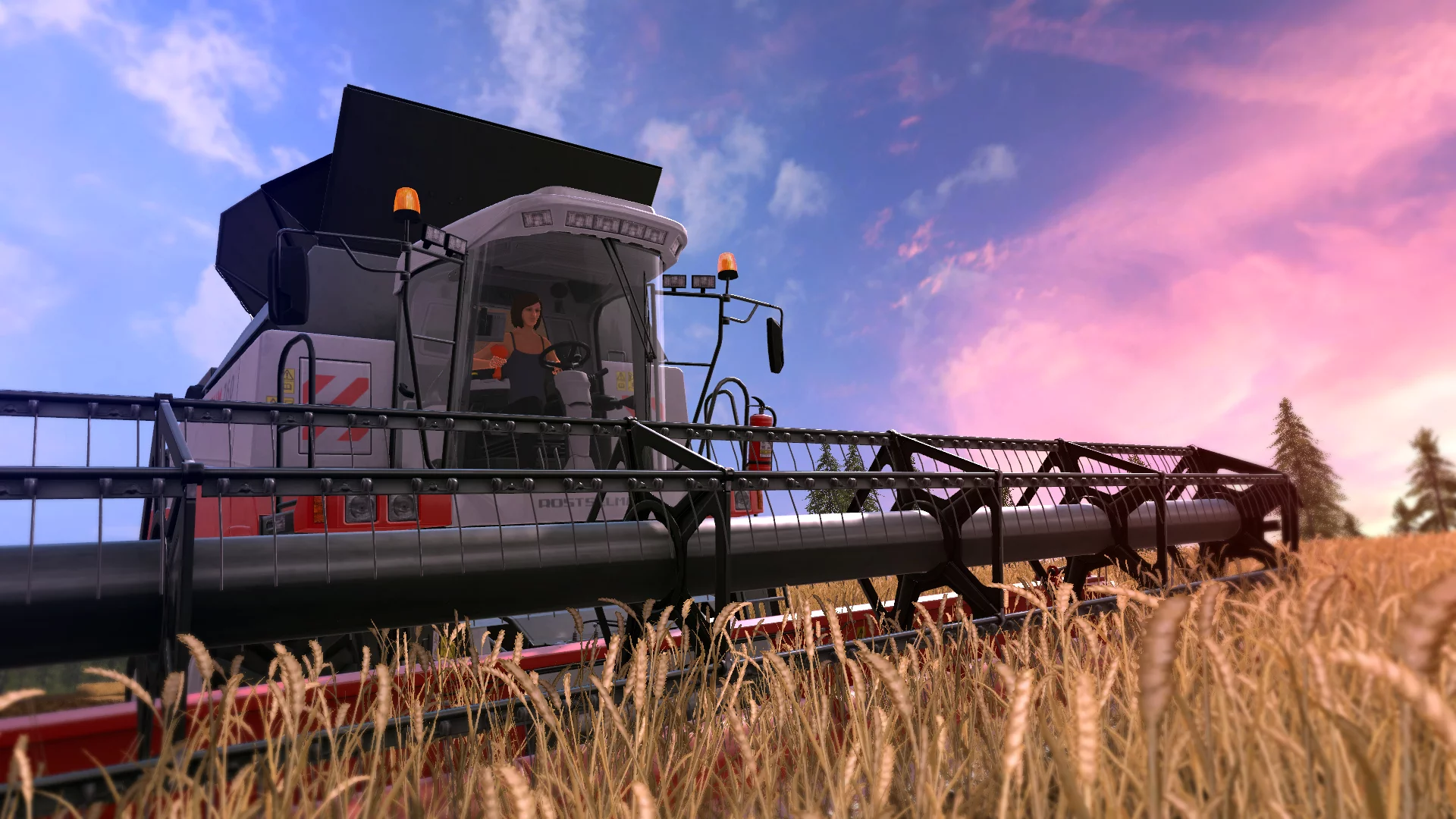 Изображение игры: Farming Simulator 17