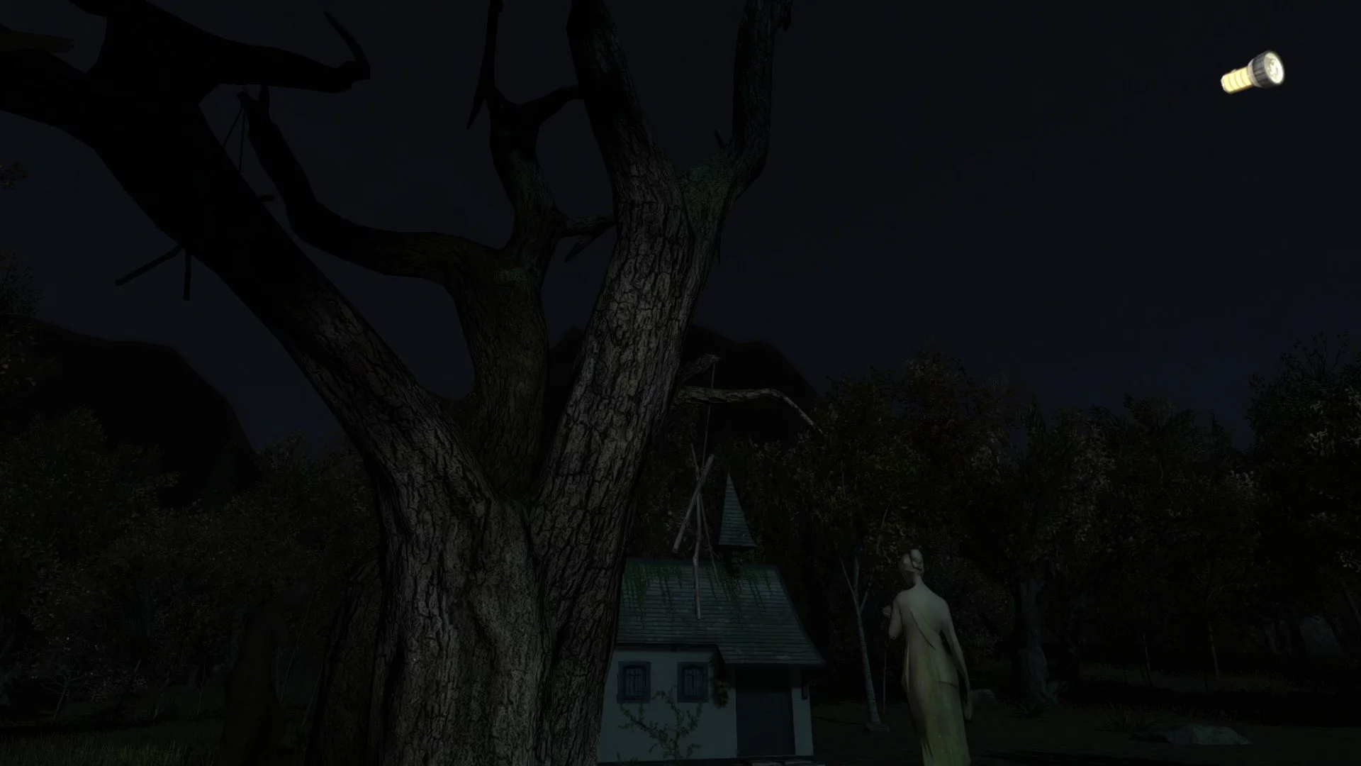 Изображение игры: The Secret of Pineview Forest