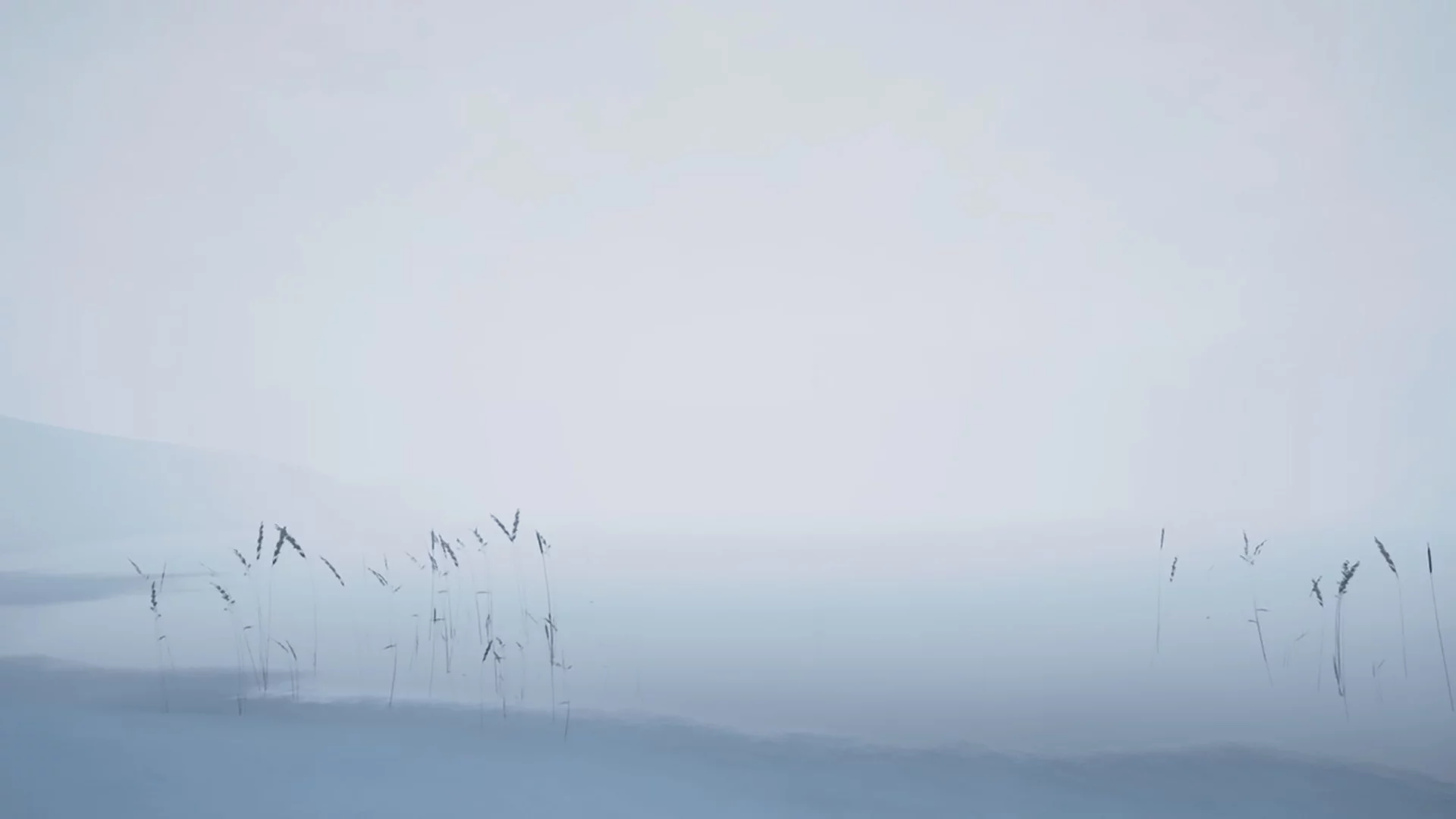 Изображение игры: Storm VR