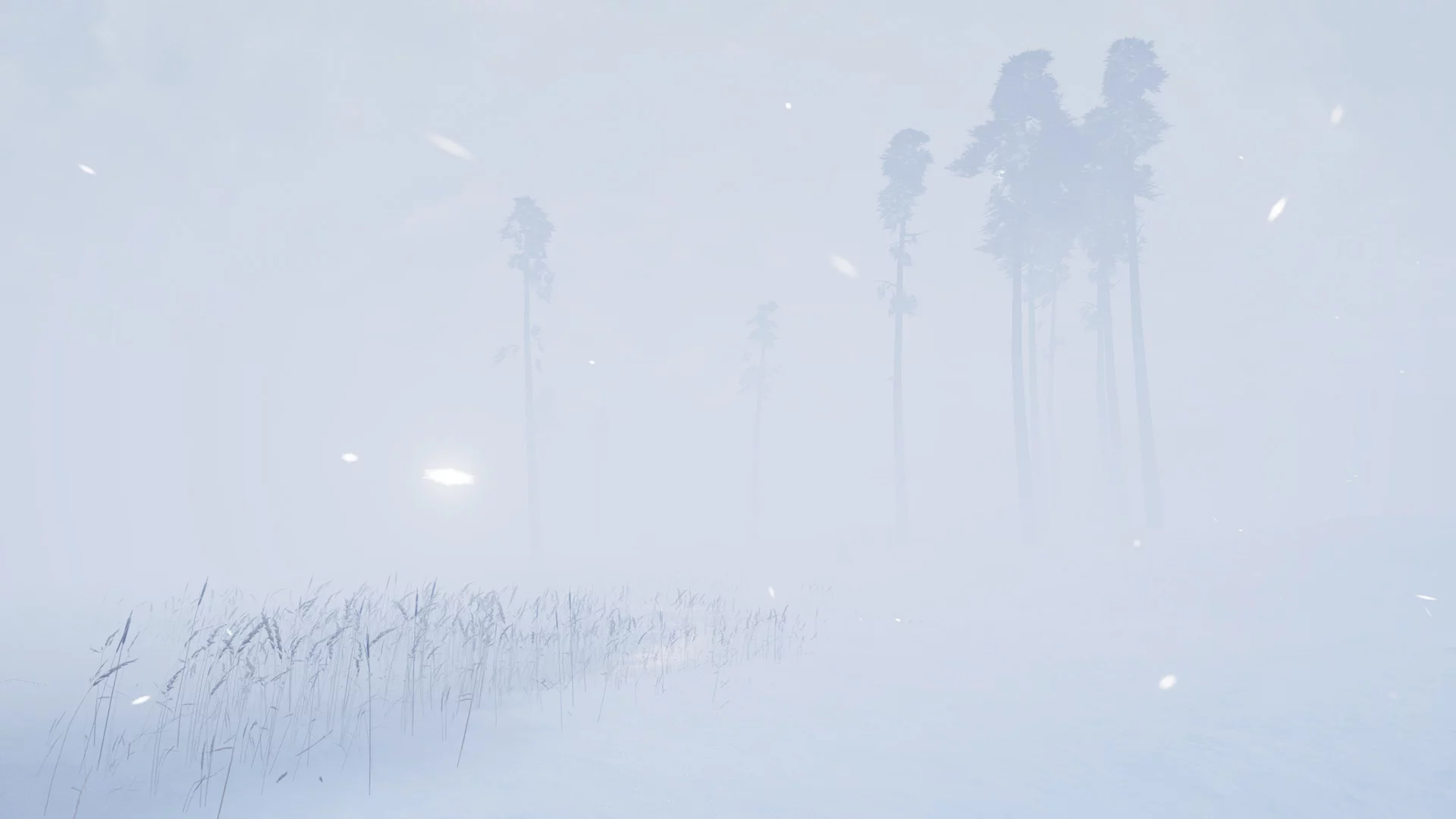 Изображение игры: Storm VR