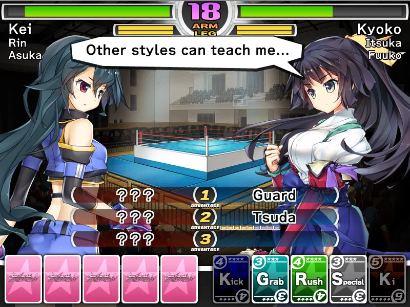 Изображение игры: Cherry Tree High Girls' Fight