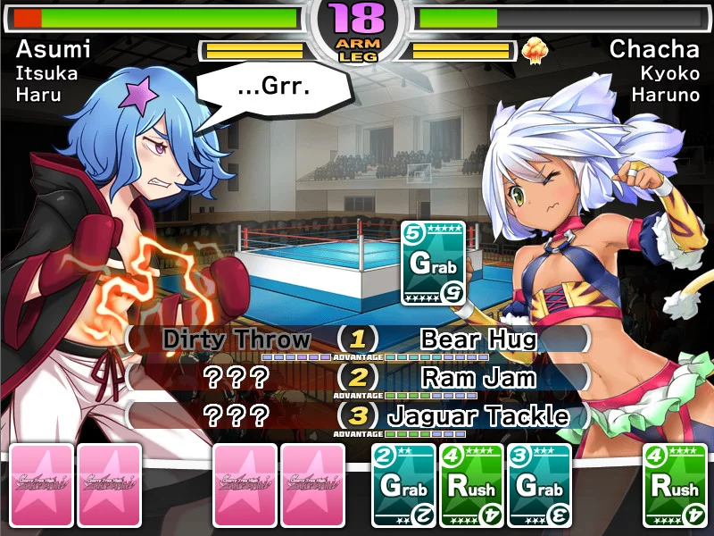 Изображение игры: Cherry Tree High Girls' Fight