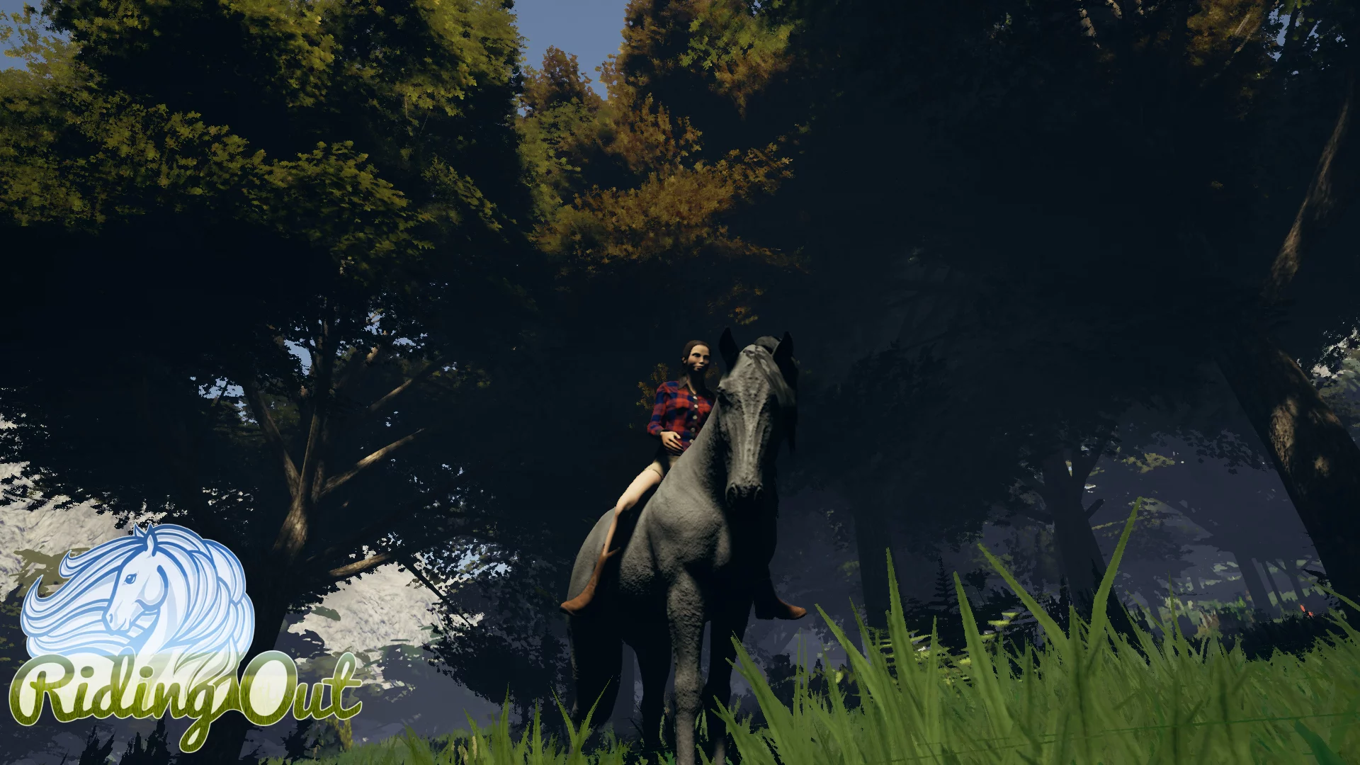 Изображение игры: Riding Out