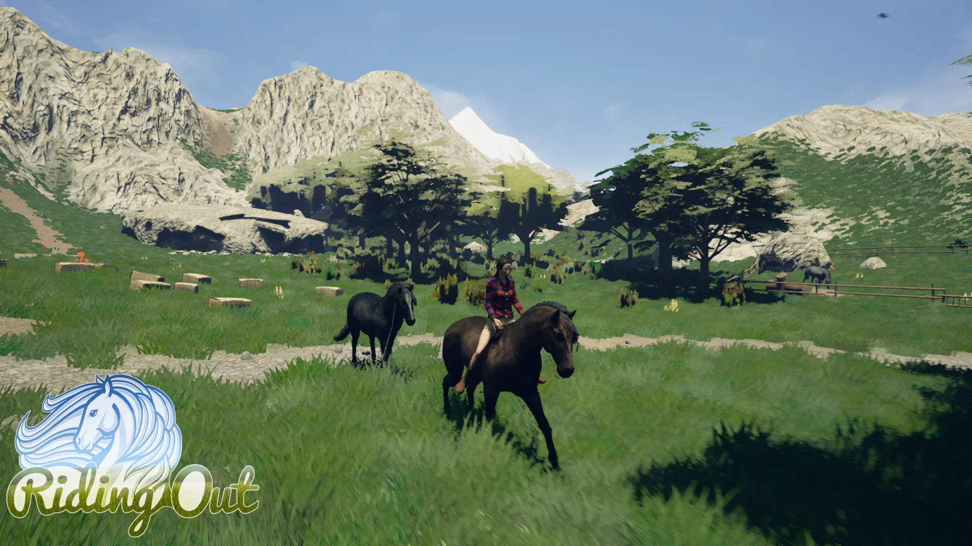 Изображение игры: Riding Out