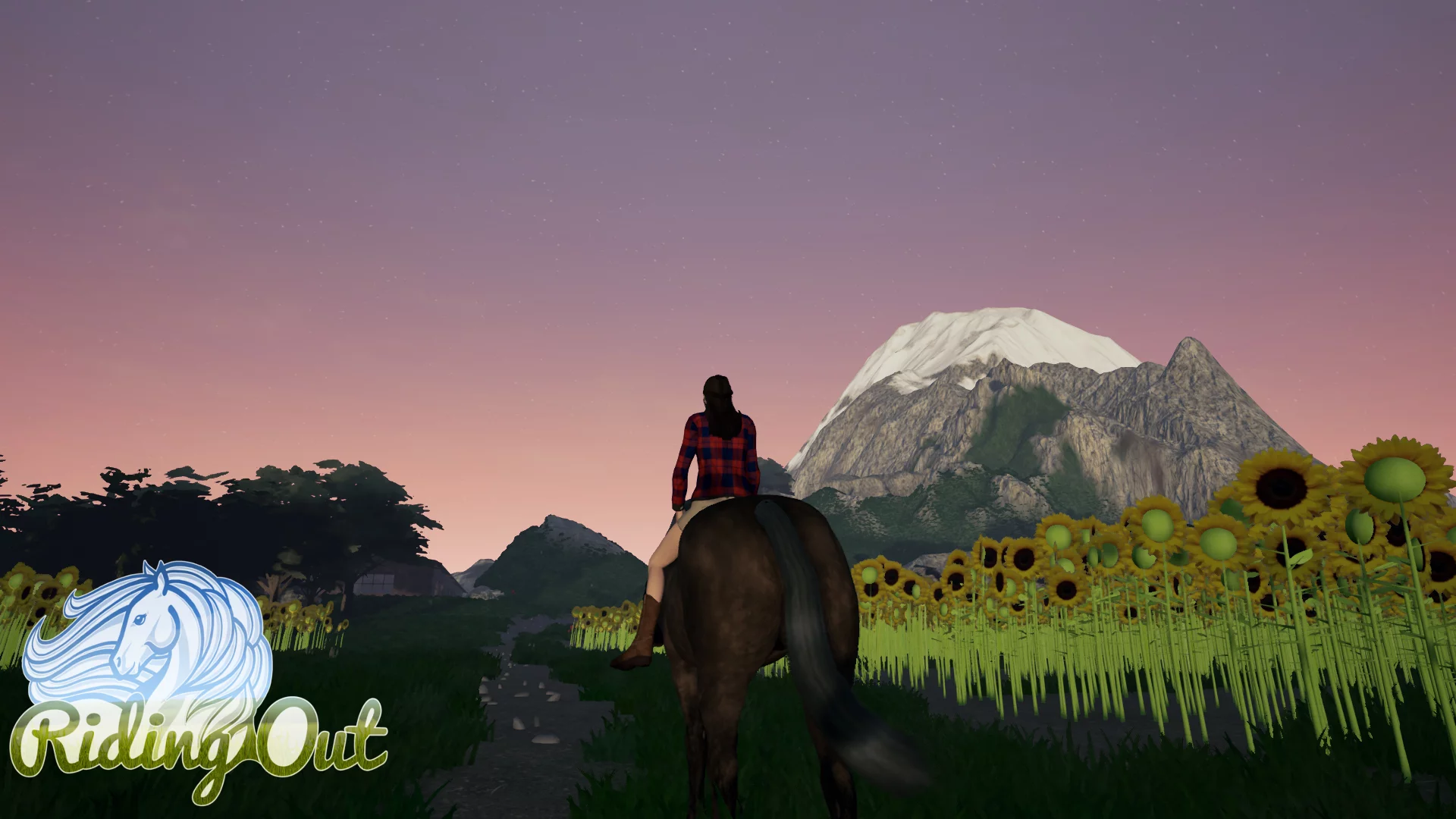 Изображение игры: Riding Out