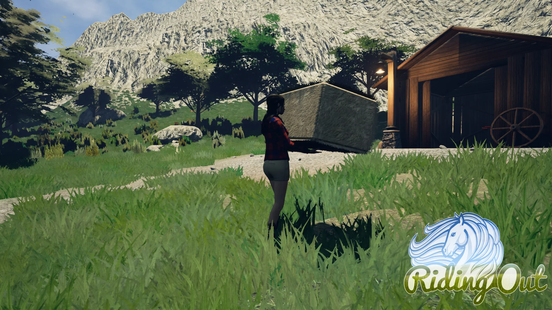 Изображение игры: Riding Out
