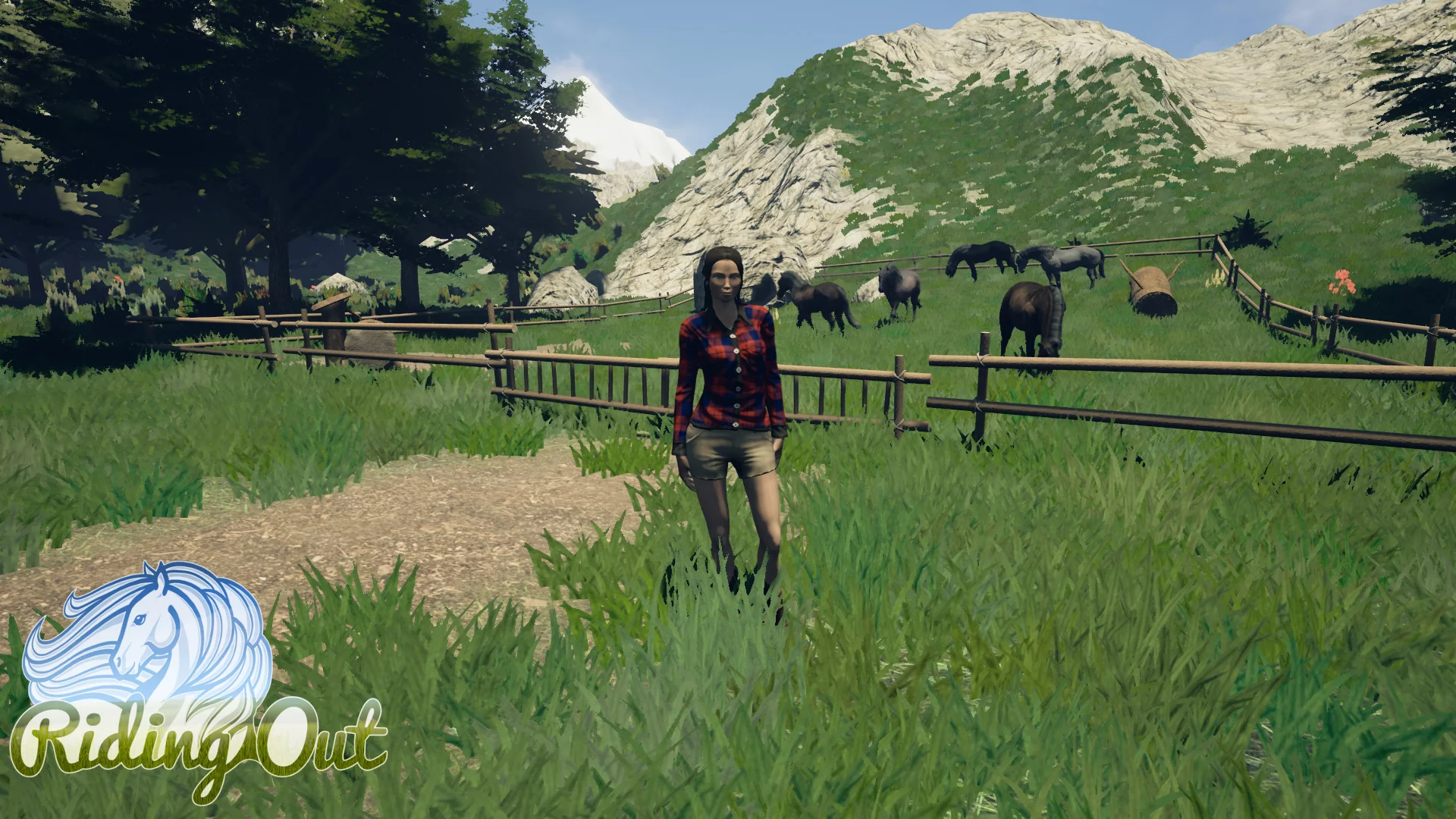 Изображение игры: Riding Out