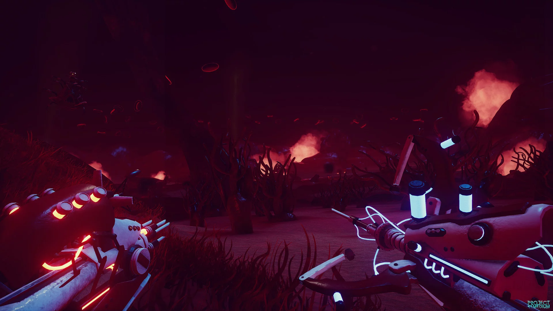 Изображение игры: Project Remedium