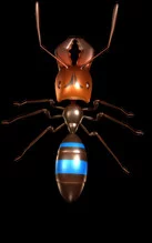 Изображение игры: Ant Queen