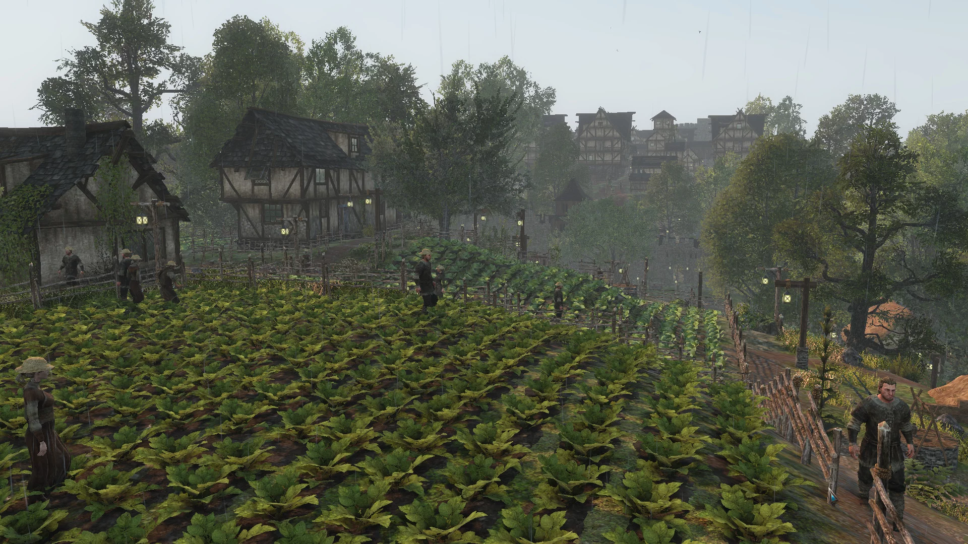 Изображение игры: Life is Feudal: Forest Village