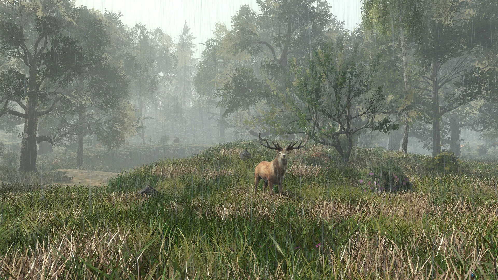 Изображение игры: Life is Feudal: Forest Village