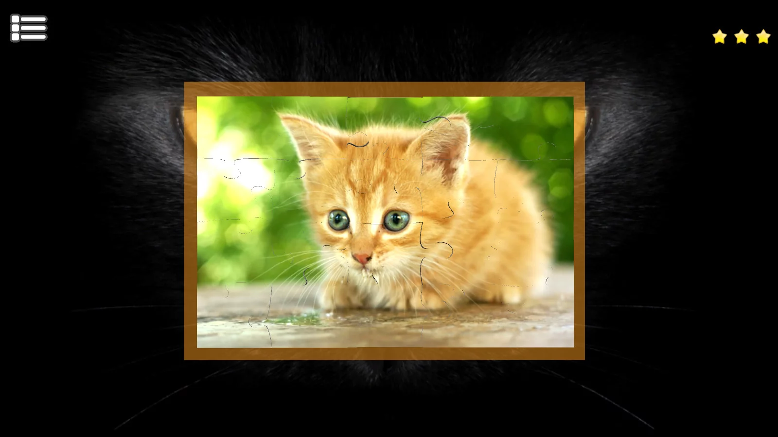Изображение игры: Kitty Cat: Jigsaw Puzzles