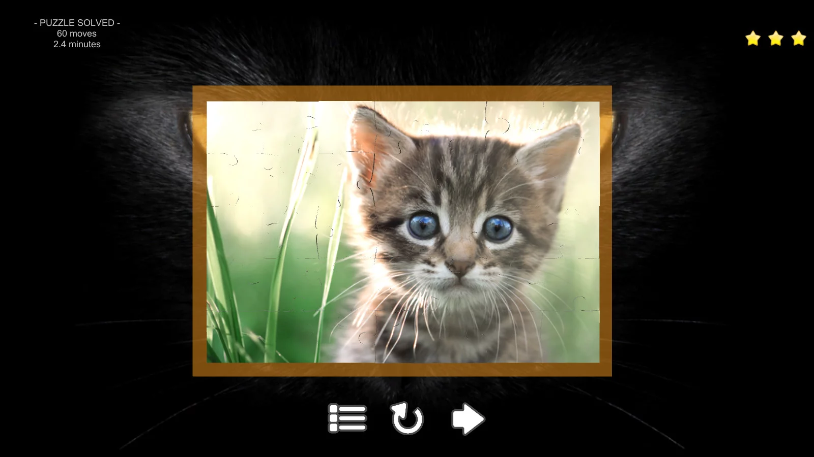 Изображение игры: Kitty Cat: Jigsaw Puzzles