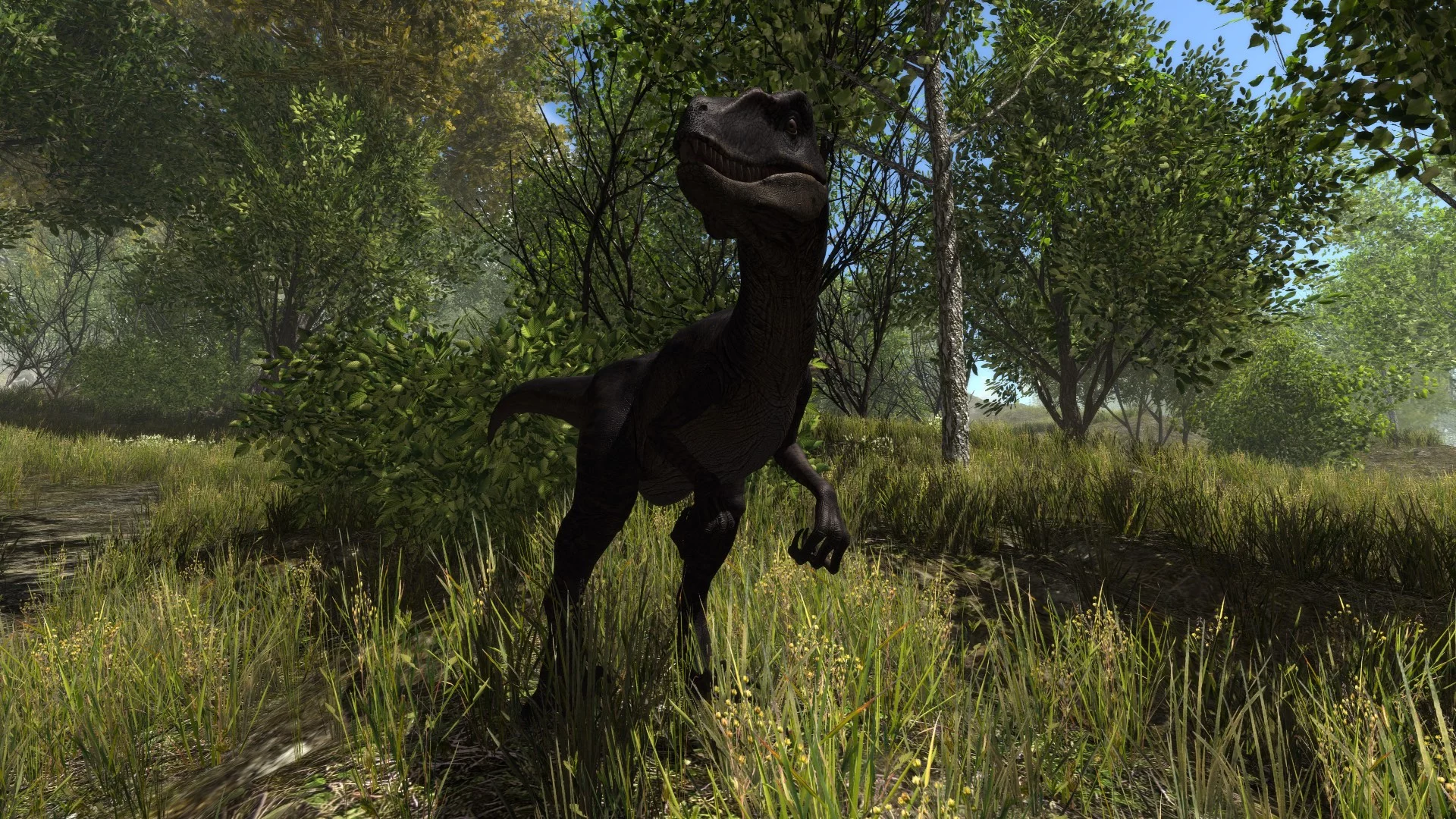 Изображение игры: Dinosaur Forest