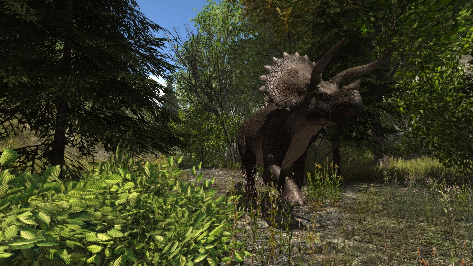 Изображение игры: Dinosaur Forest
