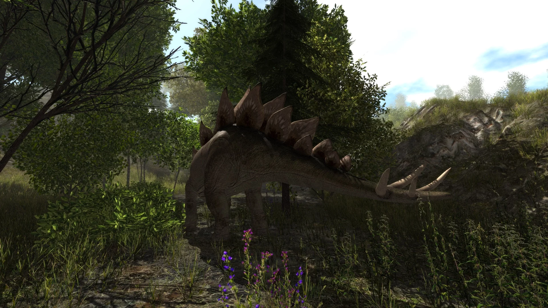Изображение игры: Dinosaur Forest