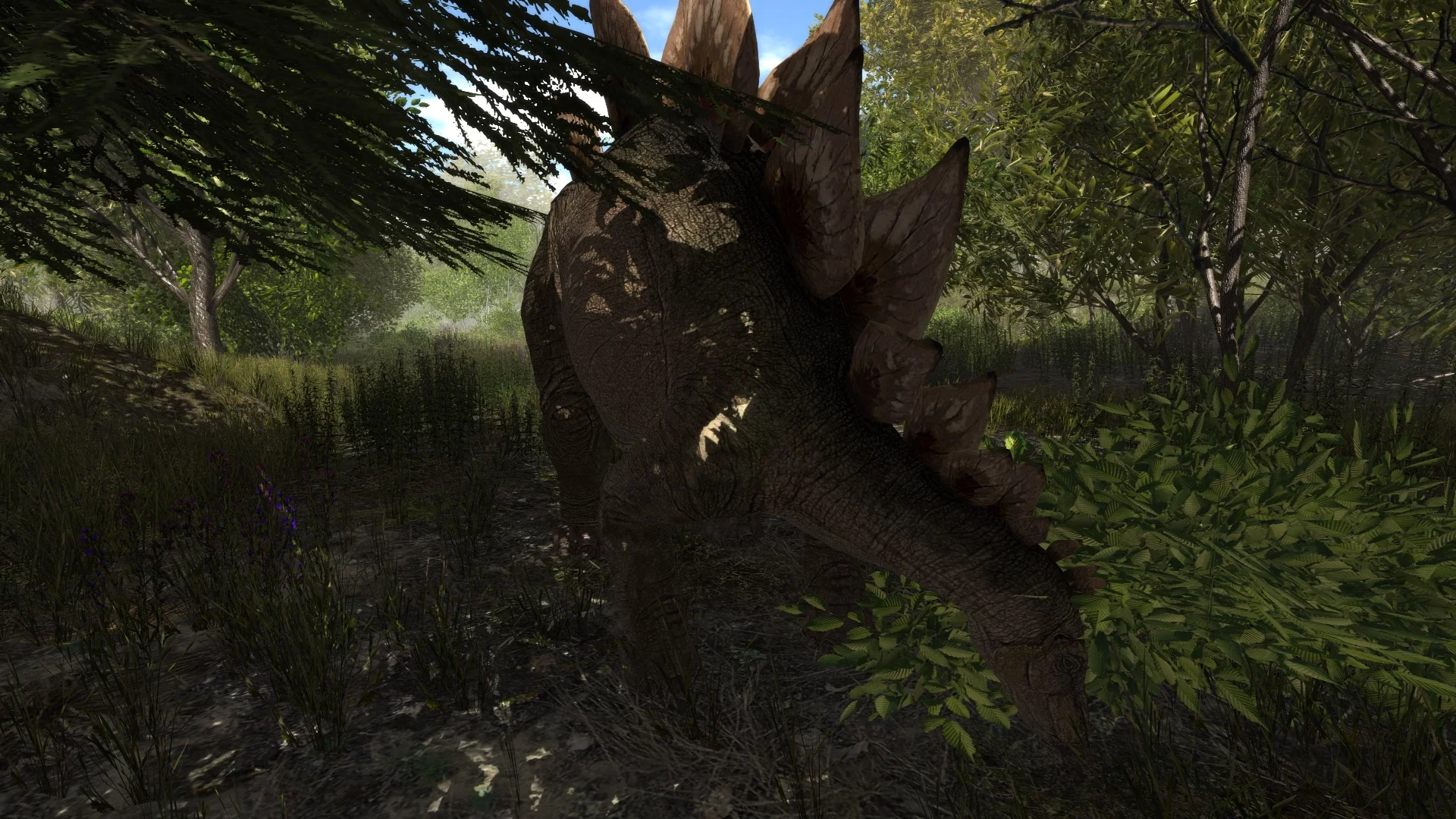 Изображение игры: Dinosaur Forest
