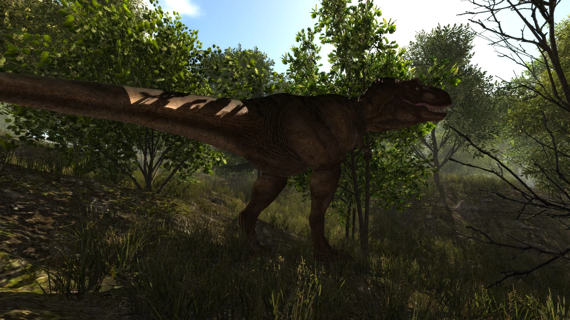 Изображение игры: Dinosaur Forest