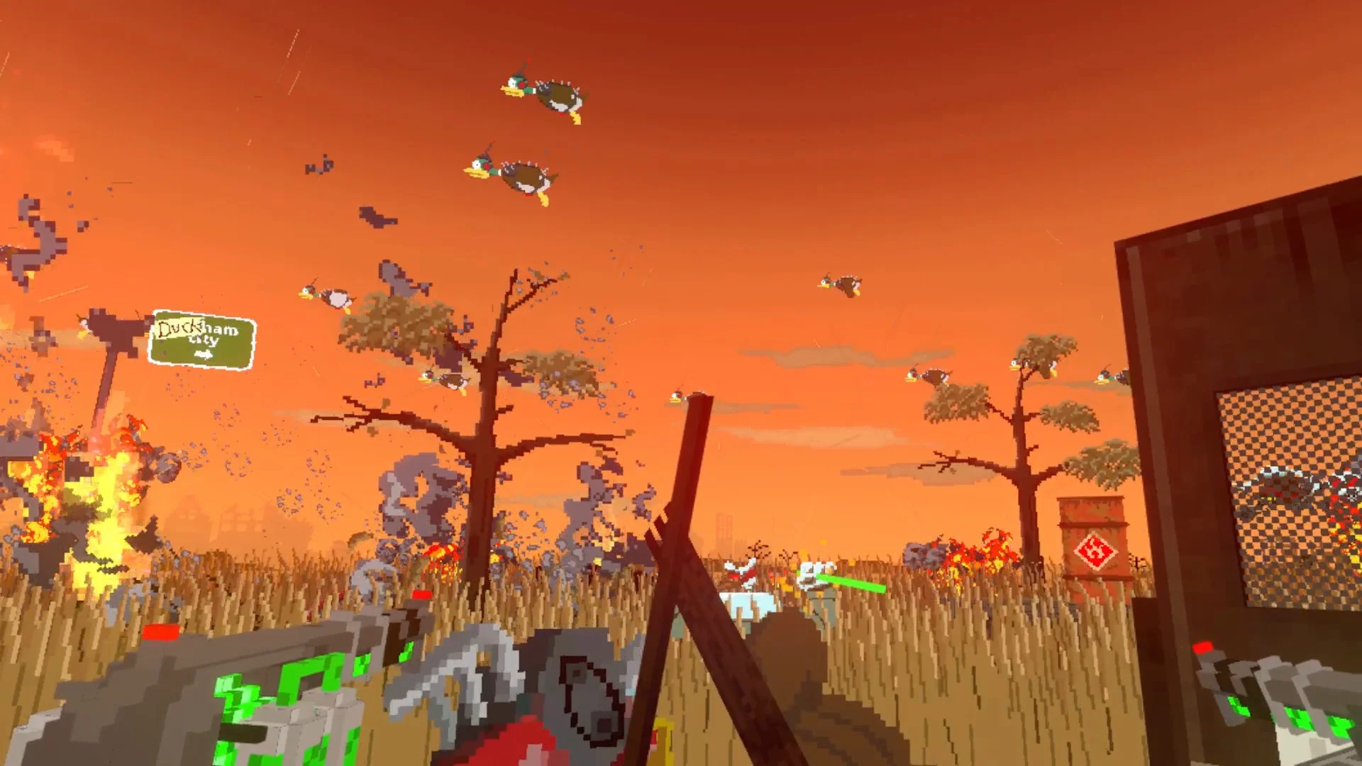 Изображение игры: Duckpocalypse