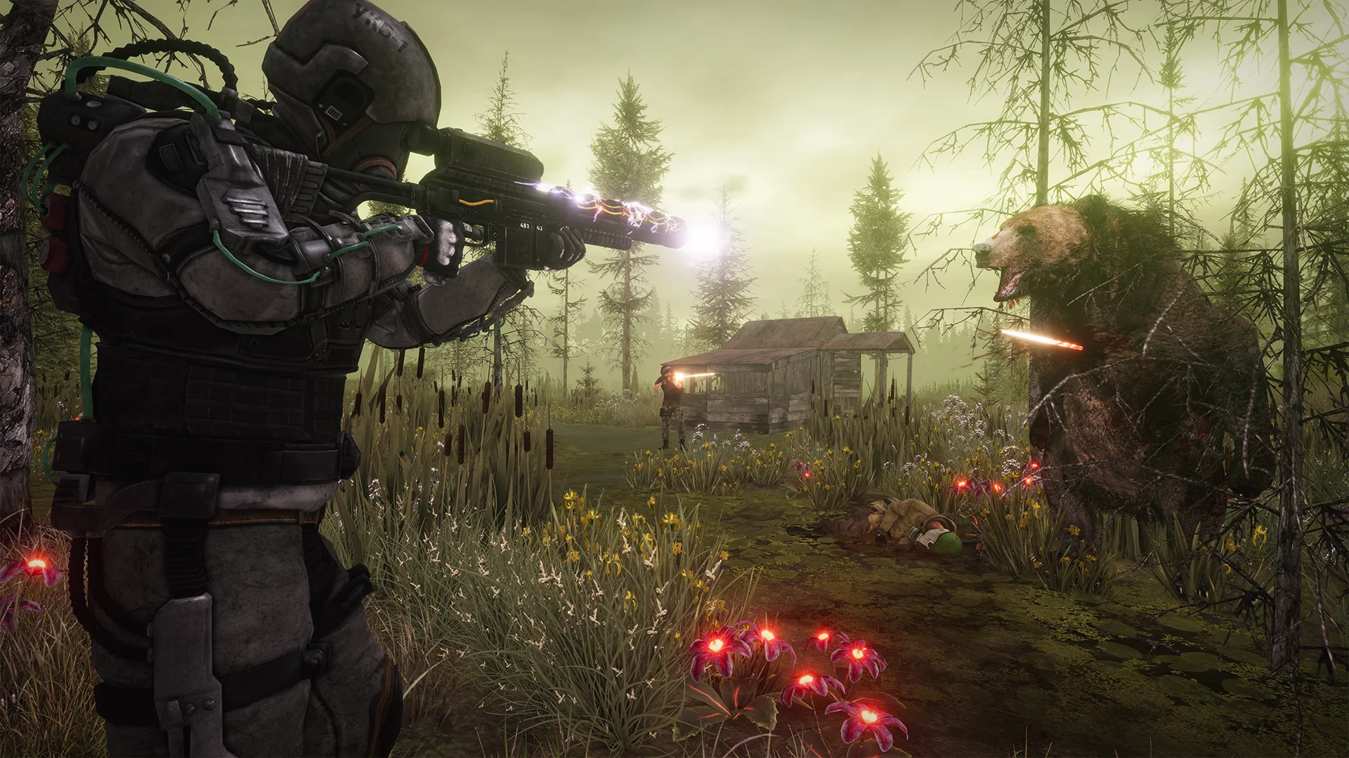 Изображение игры: Next Day: Survival