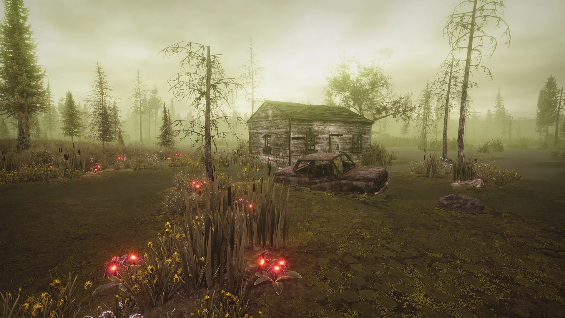 Изображение игры: Next Day: Survival
