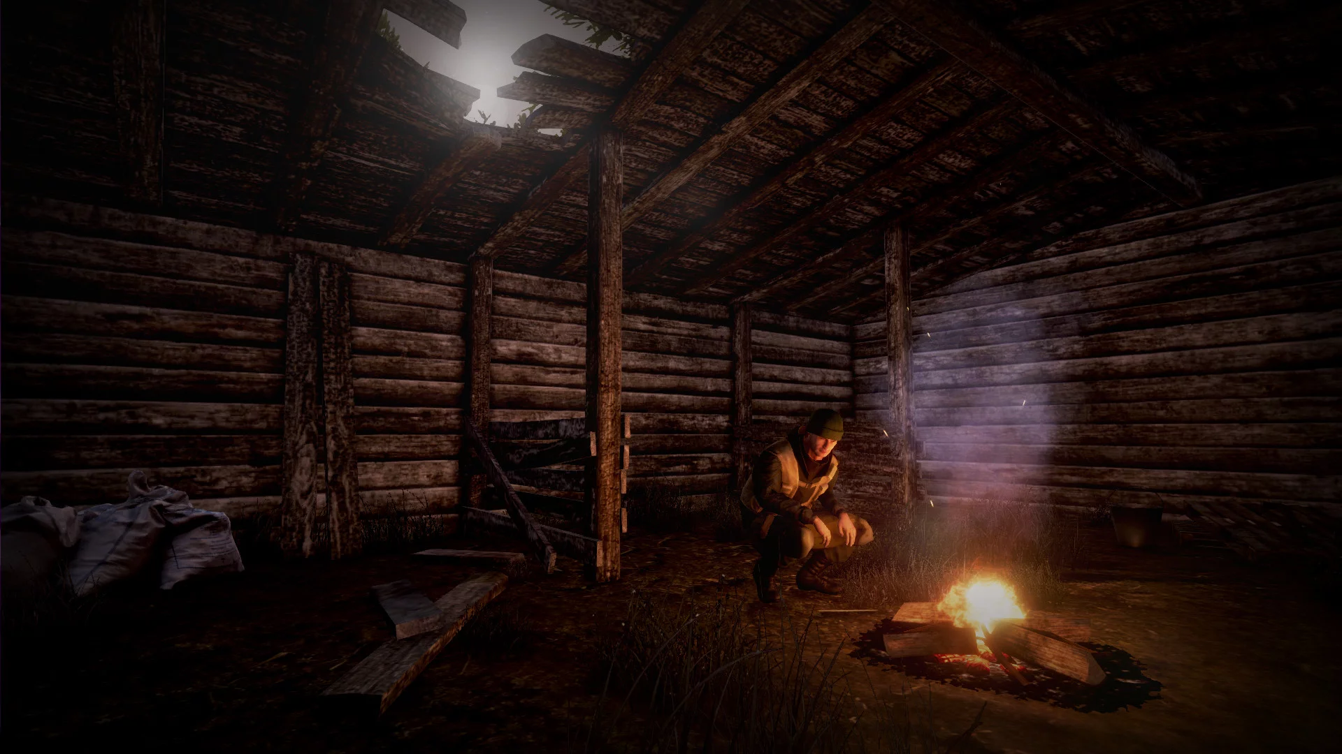 Изображение игры: Next Day: Survival