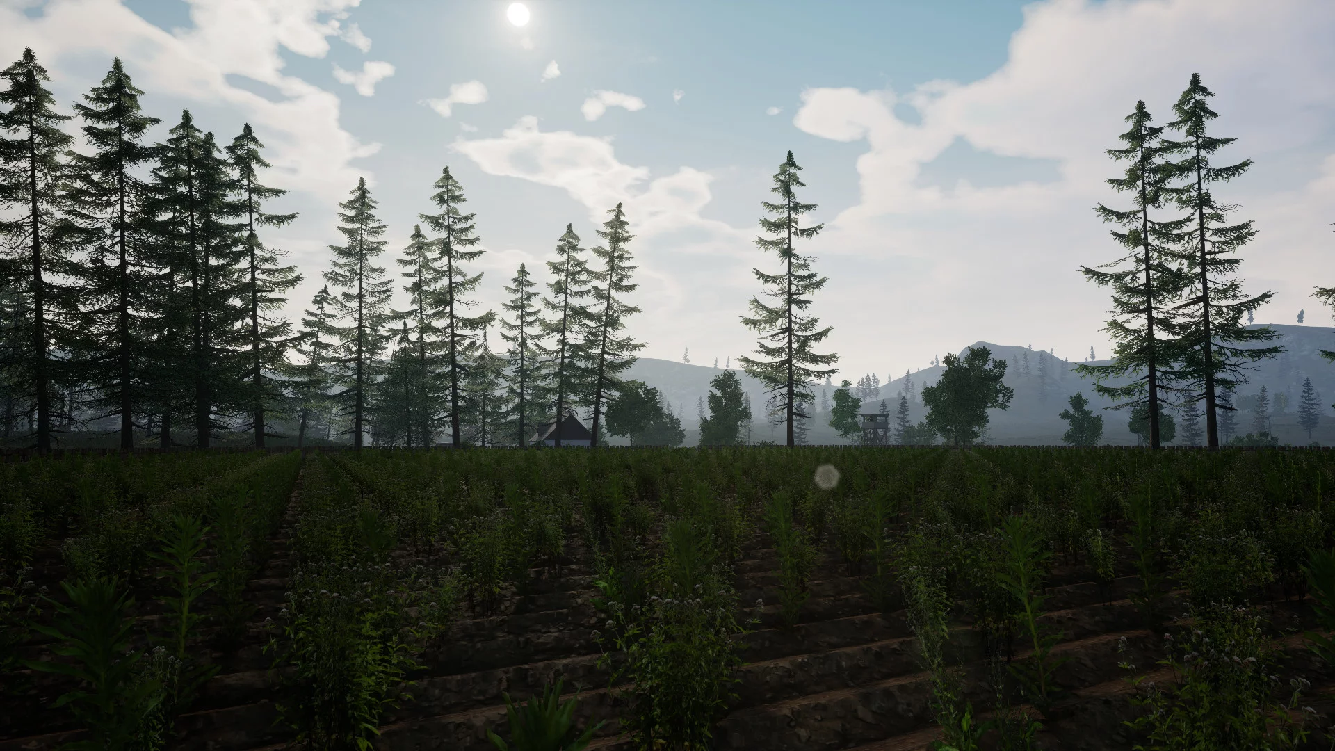Изображение игры: Beyond Enemy Lines