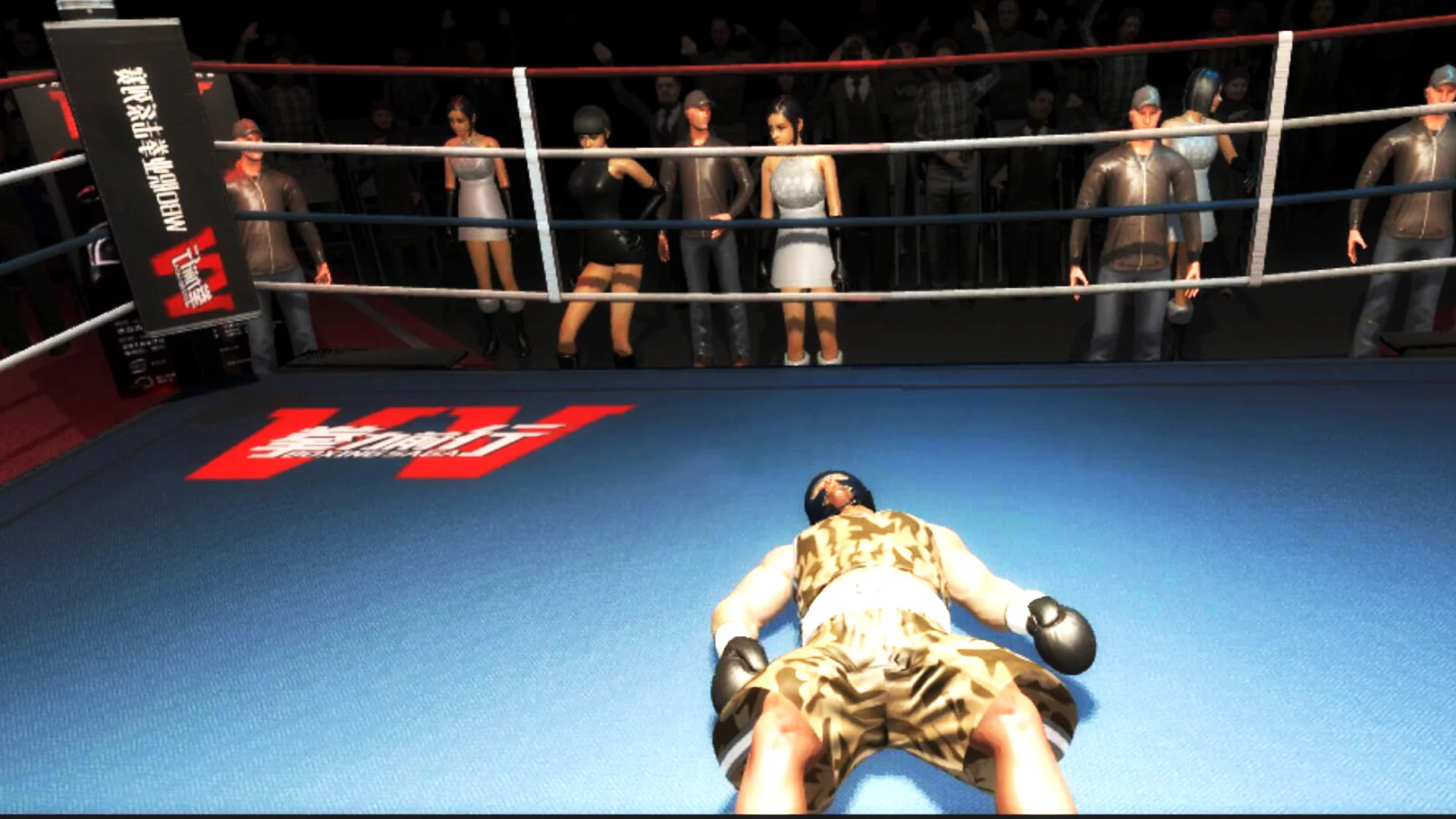Изображение игры: Boxing Saga