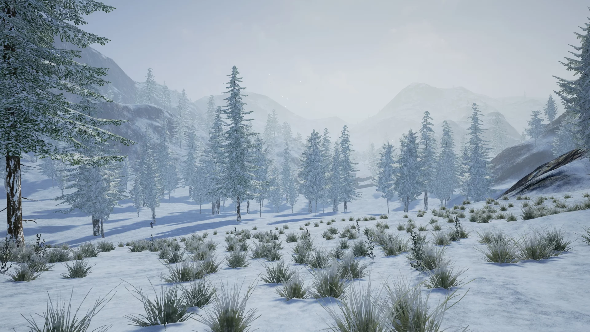 Изображение игры: Strike Force: Arctic Storm