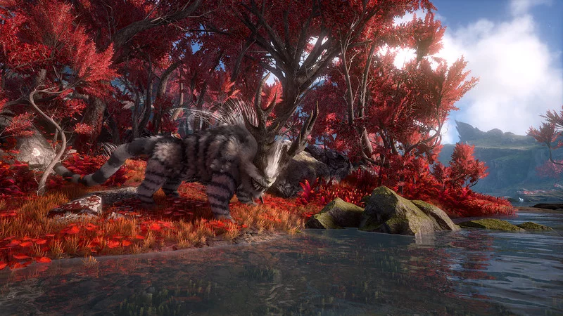 Изображение игры: Dark and Light