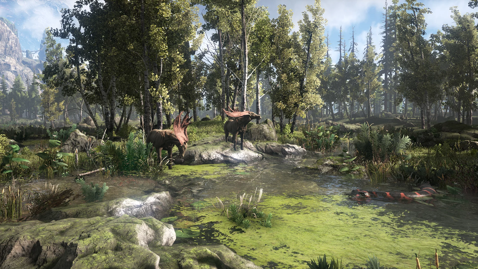 Изображение игры: Dark and Light